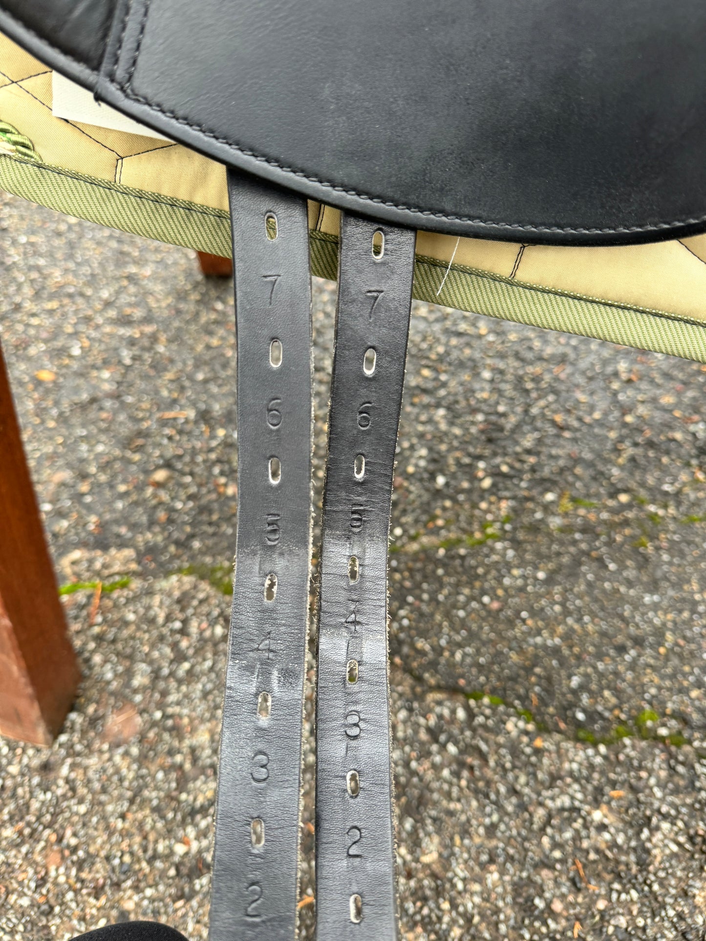 #K62 Prestige Top Dressage KK 17 Zoll 32 aus 2023