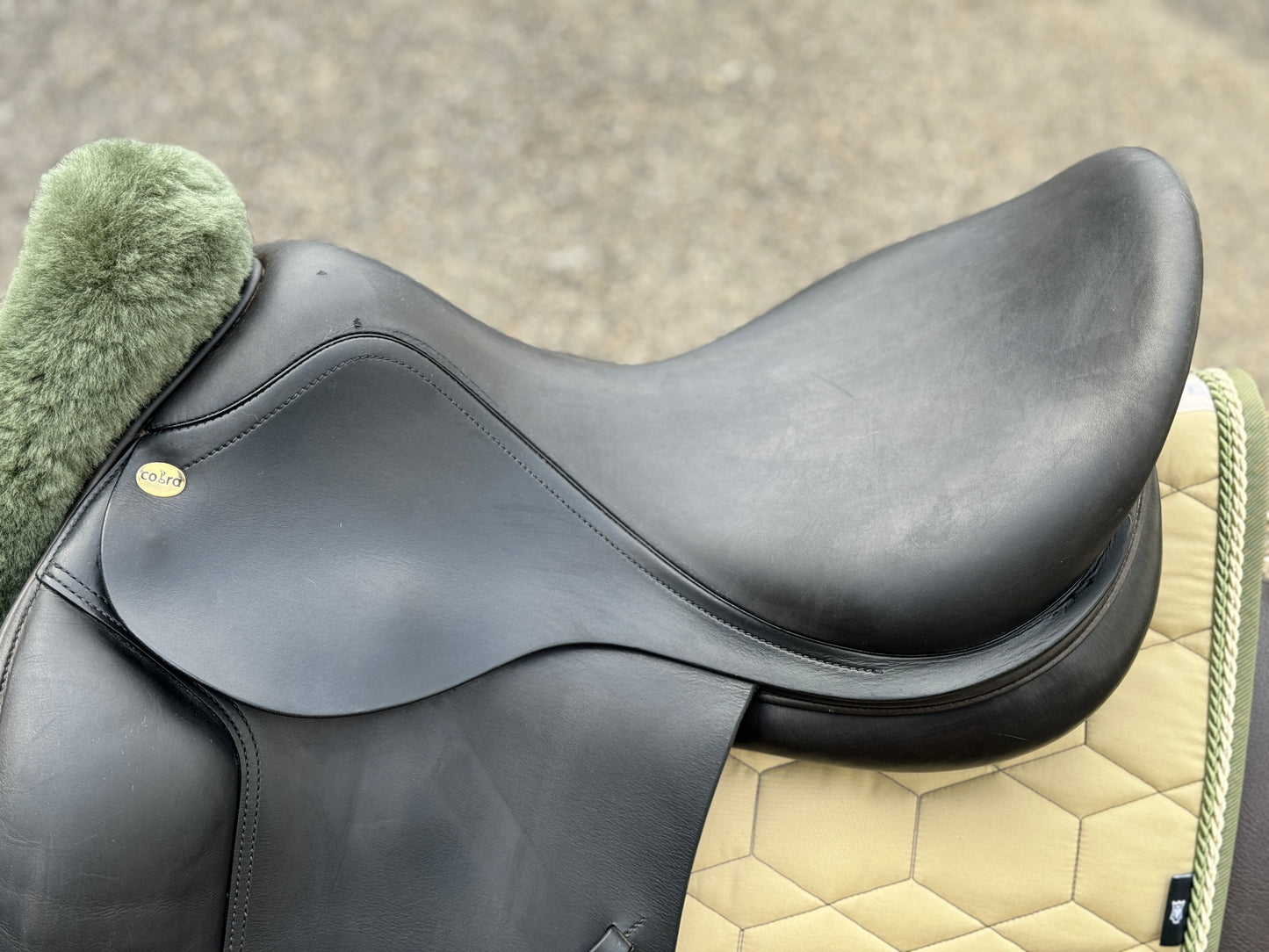Silla de doma Cobra de 17,5 pulgadas (2019) con cincha corta.
