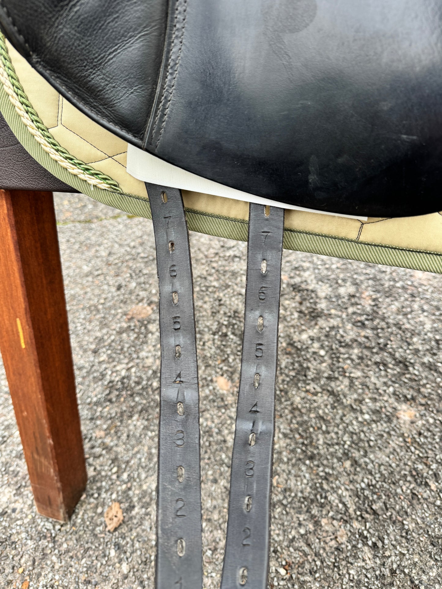 #K79 Prestige Top Dressage SP 18 pulgadas de 2018