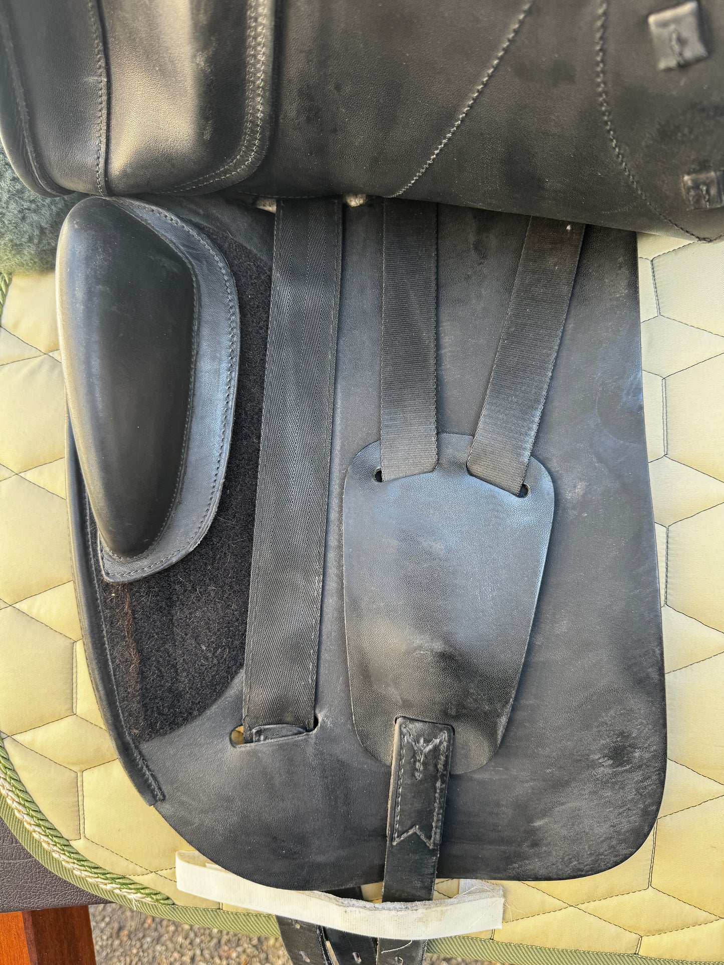 #101 Amerigo Pasubio Dressursattel 17,5 Zoll aus 2020