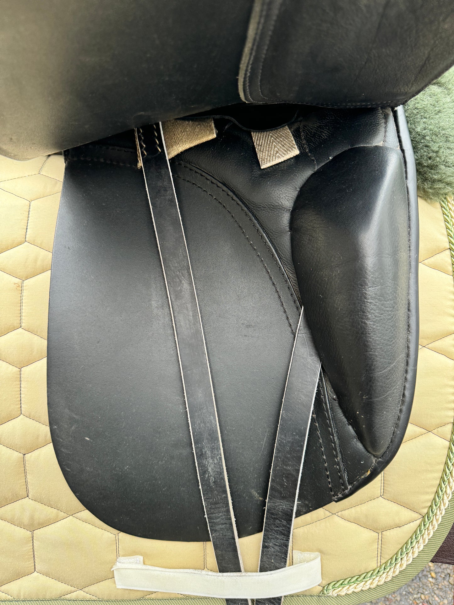 #K54 Silla de doma Passier Eldur 17,5 pulgadas