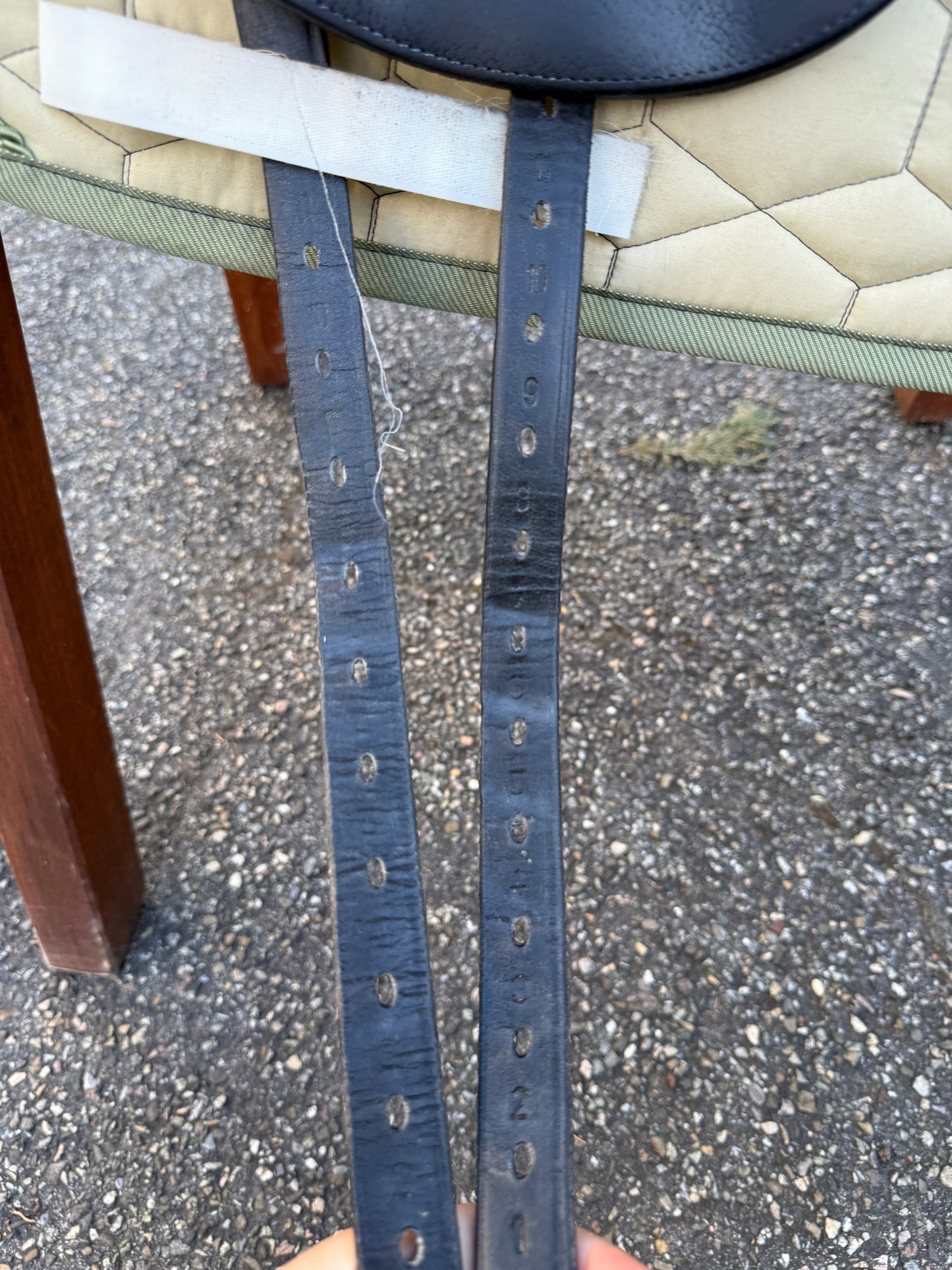 #183 Custom Dressursattel Advantage R 17,5 Zoll aus 2023