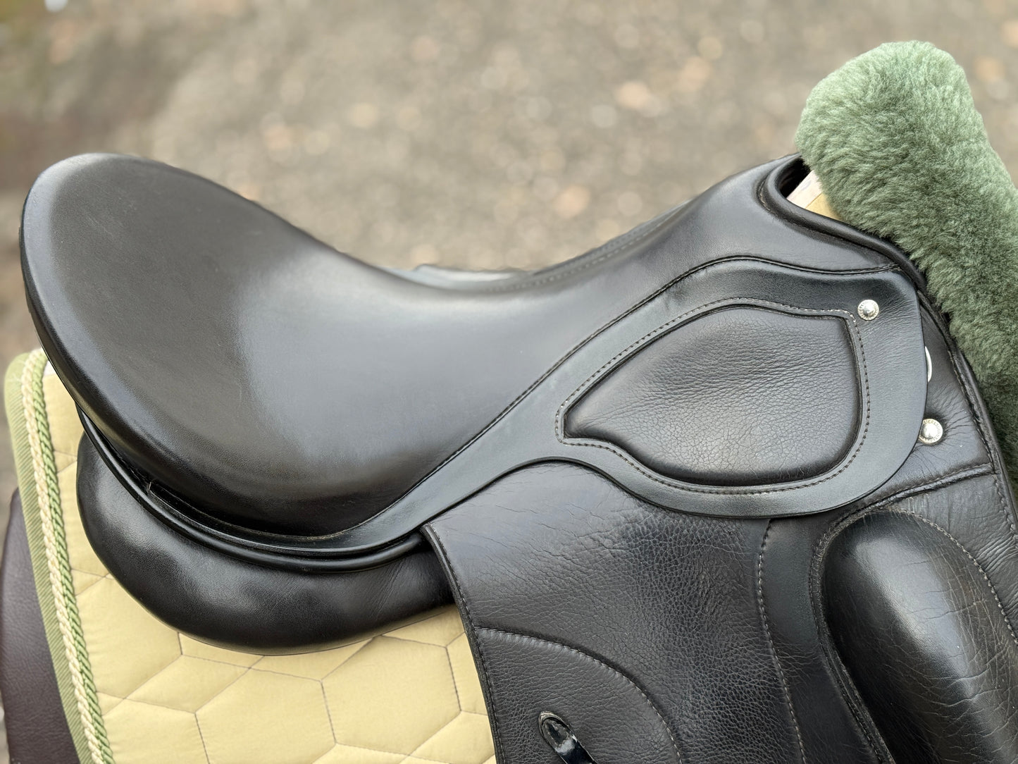 #256 Passier Grand Prix Special Dressursattel 17,5 Zoll Monoblatt