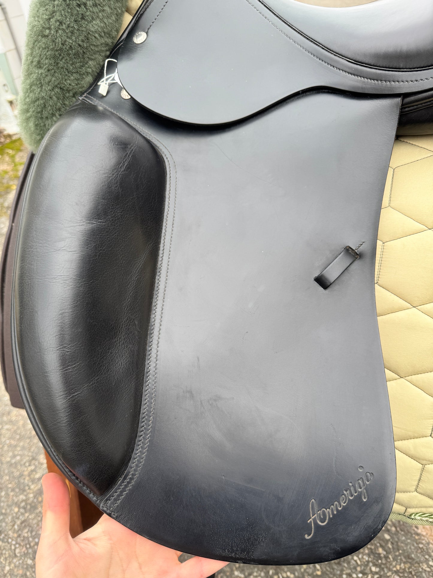 Silla de doma clásica Amerigo Basso #K89, asiento semiprofundo de 17 pulgadas