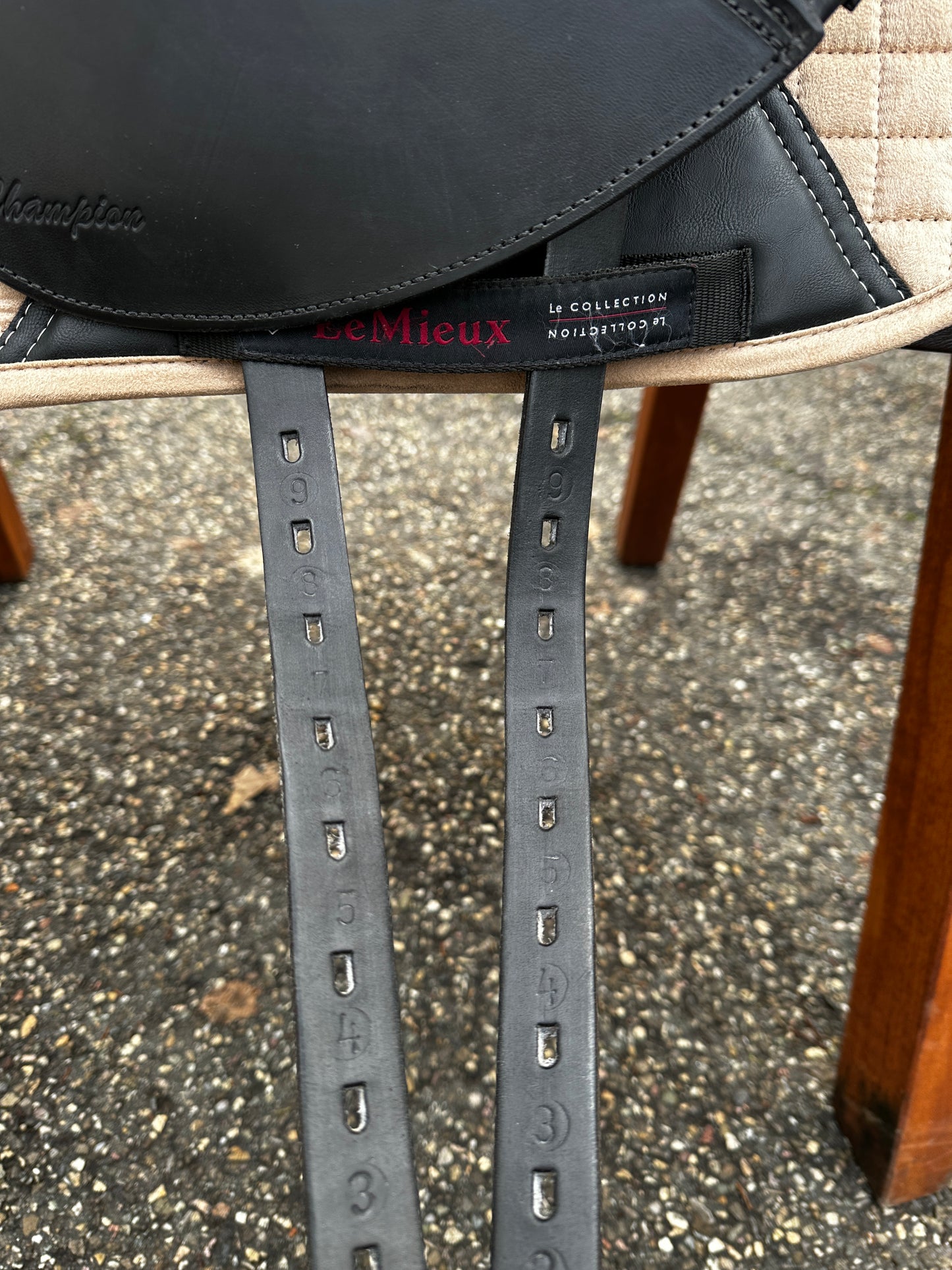Horse Star Champion Dressursattel 17 Zoll wie NEU aus 2022