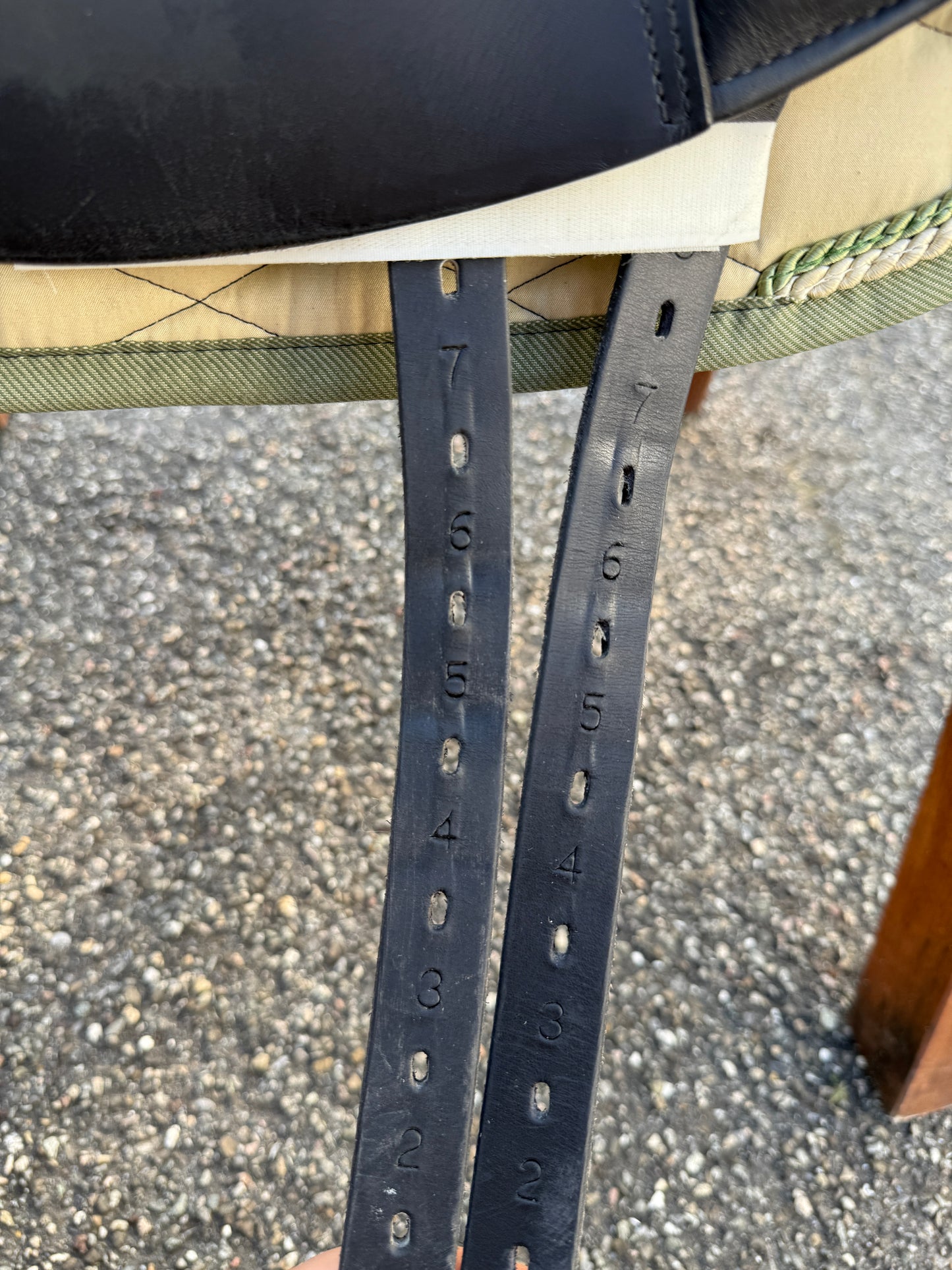 #156 Prestige Top Dressage SP 17 Zoll 32 aus 2023