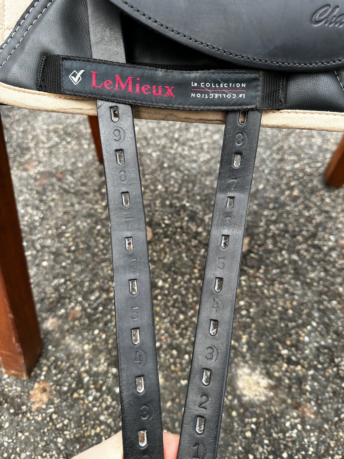 Horse Star Champion Dressursattel 17 Zoll wie NEU aus 2022