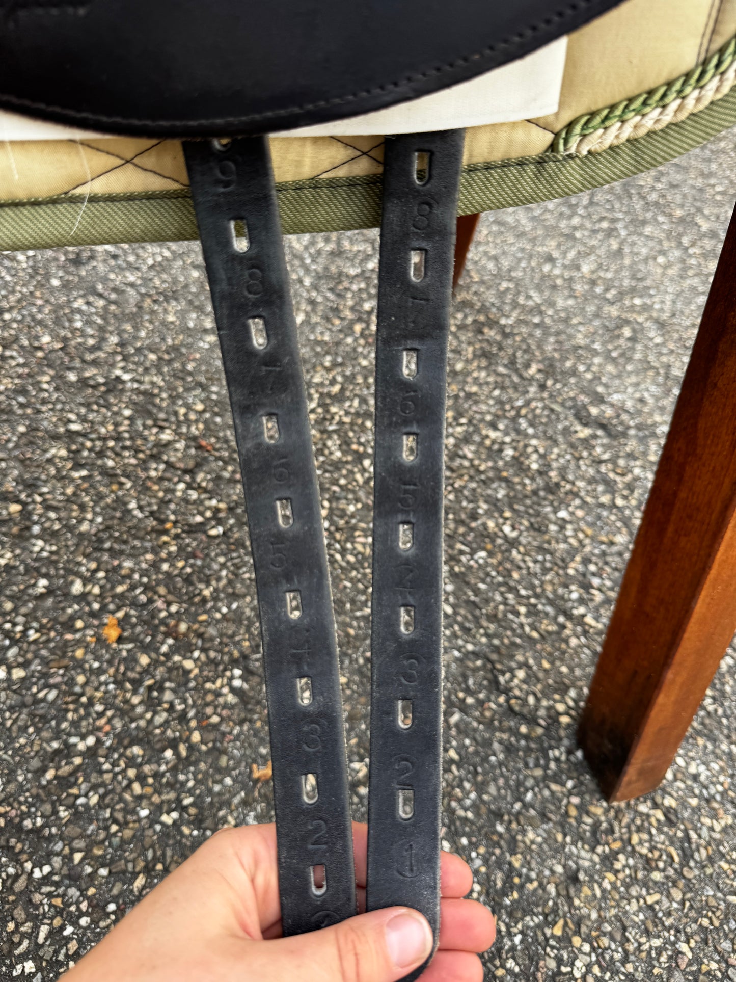 #147 Horse Star Champion Dressursattel 17,5 Zoll aus 2022