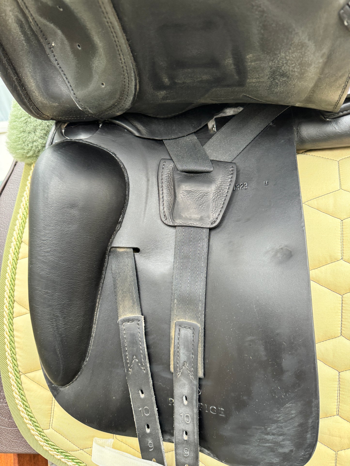 #K62 Prestige Top Dressage KK 17 Zoll 32 aus 2023