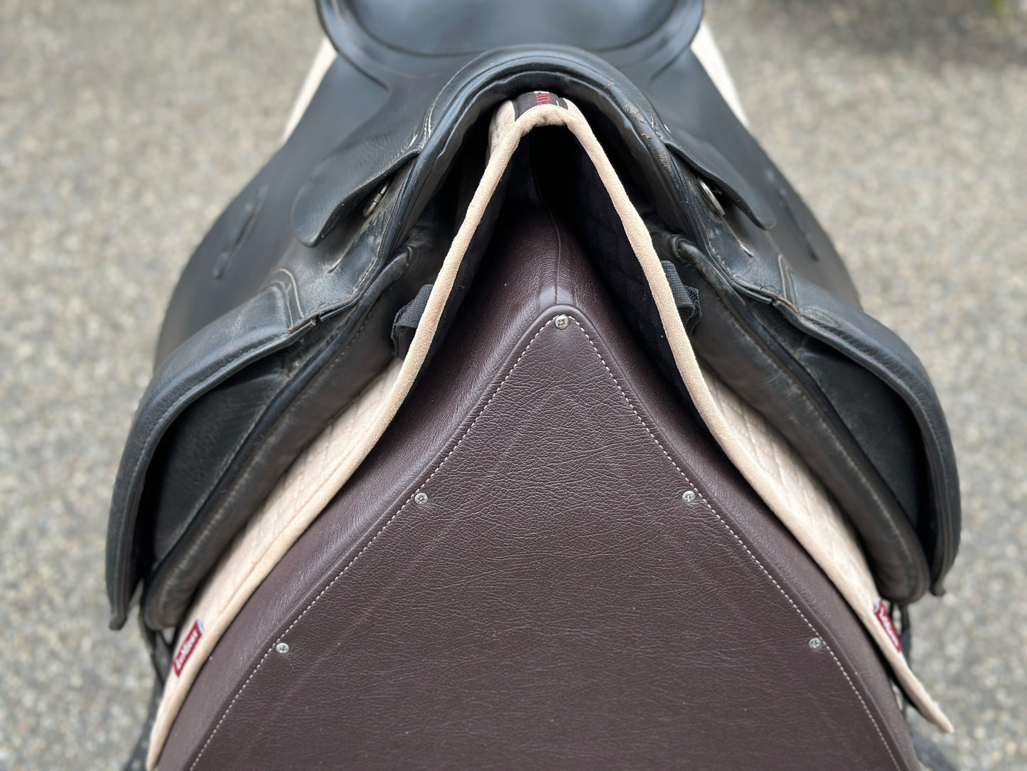 Passier Horst Becker Classic Dressage Saddle 17.5 inches