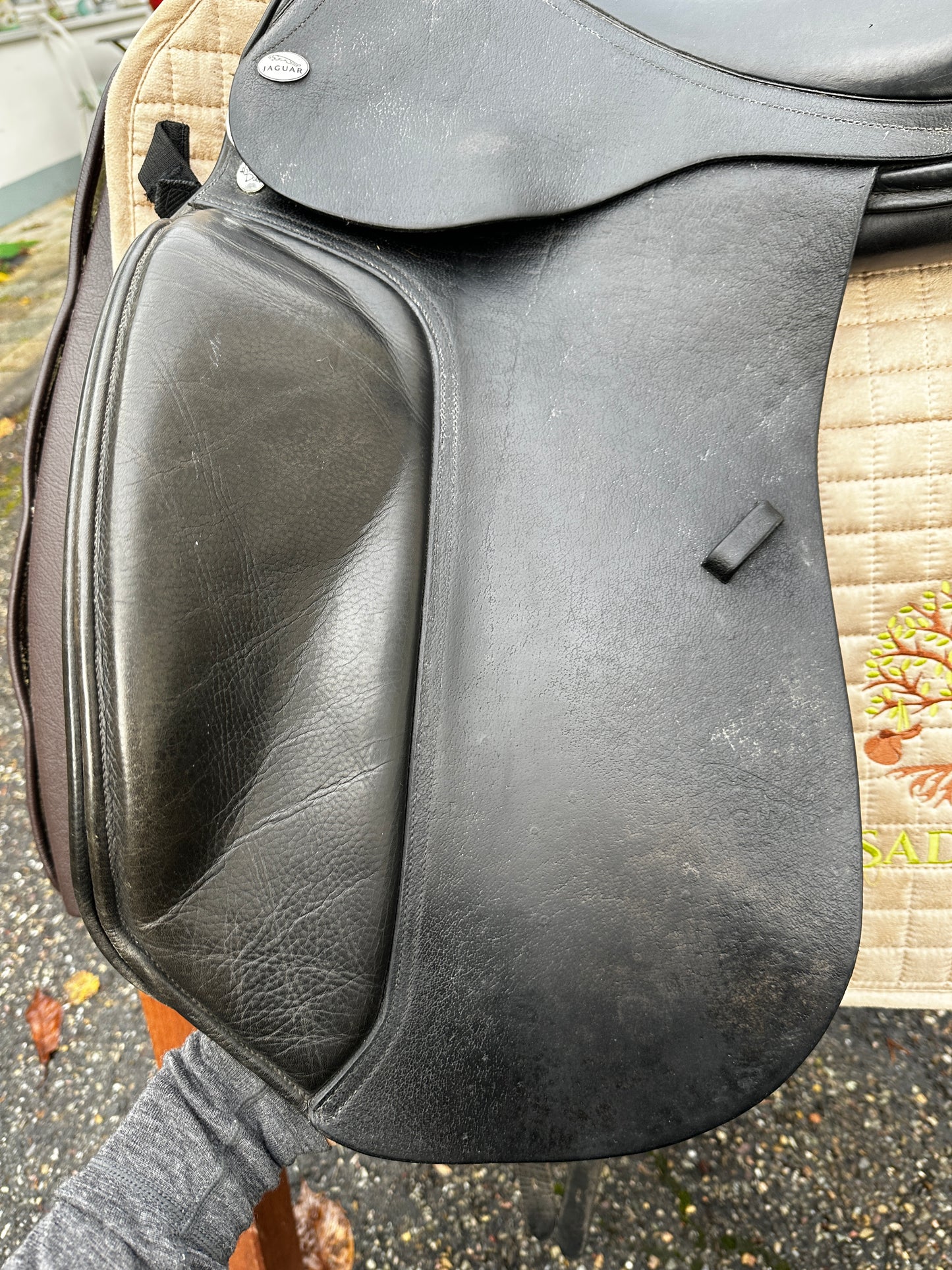 Jaguar XKC Dressursattel 17,5 Zoll