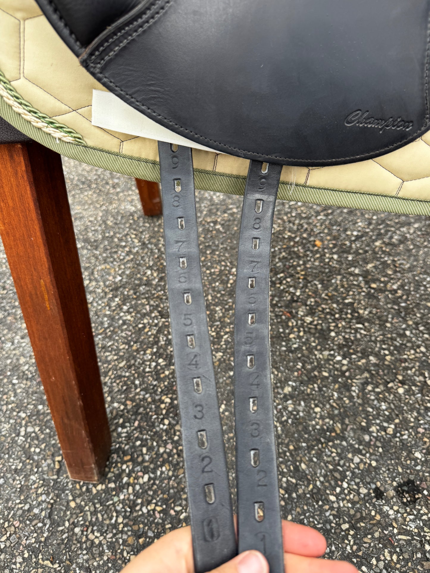 #147 Horse Star Champion Dressursattel 17,5 Zoll aus 2022