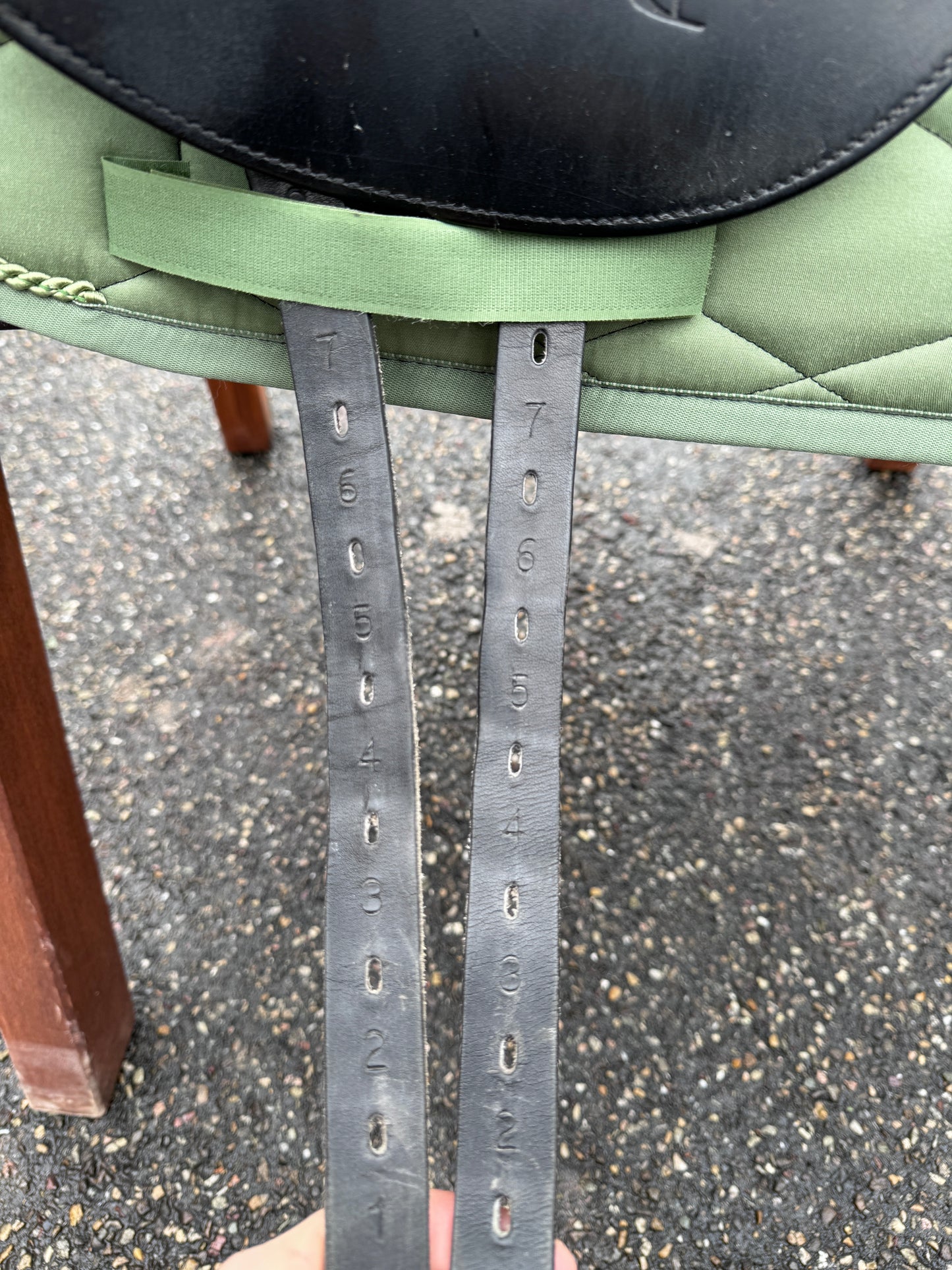 Silla de doma Prestige Venus New de 17 pulgadas (2021)