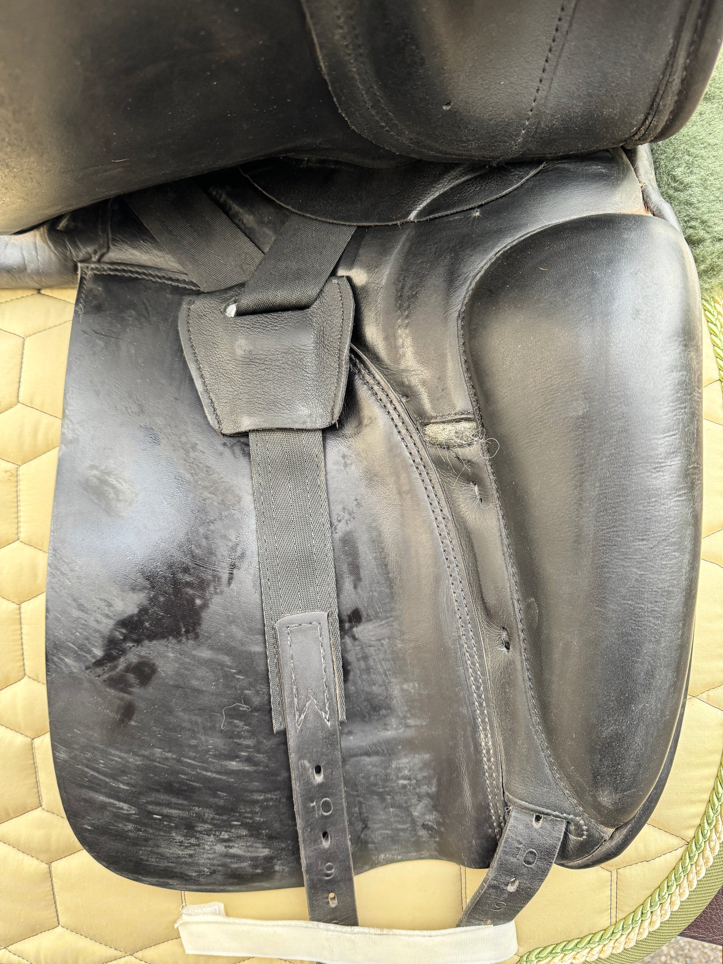 #K79 Prestige Top Dressage SP 18 pulgadas de 2018