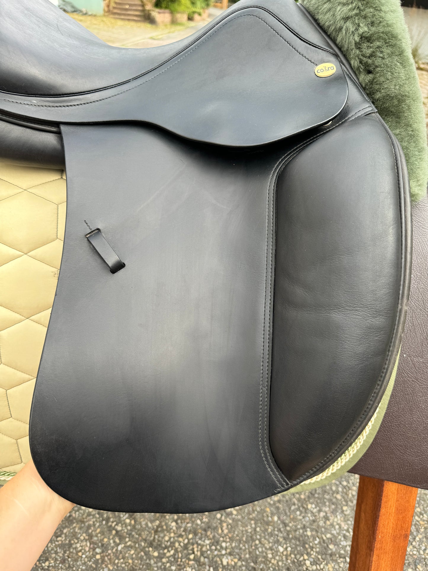 Silla de doma Cobra de 17,5 pulgadas (2019) con cincha corta.