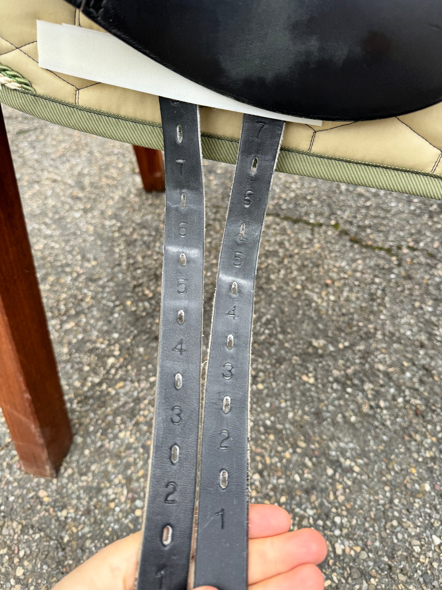Silla de doma Prestige Roma n.° 38, 17 pulgadas, 32 pulgadas, año 2020