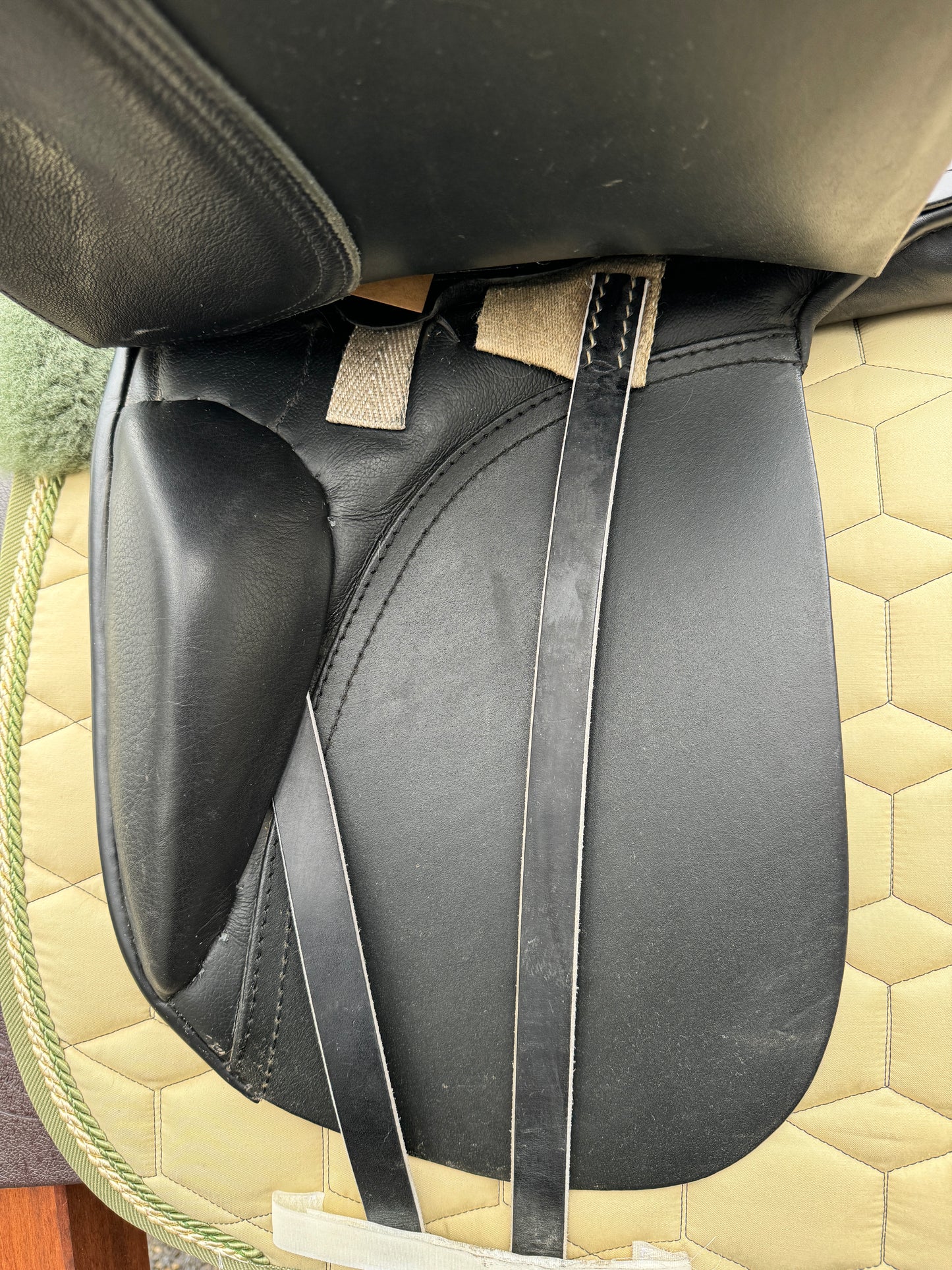 #K54 Silla de doma Passier Eldur 17,5 pulgadas