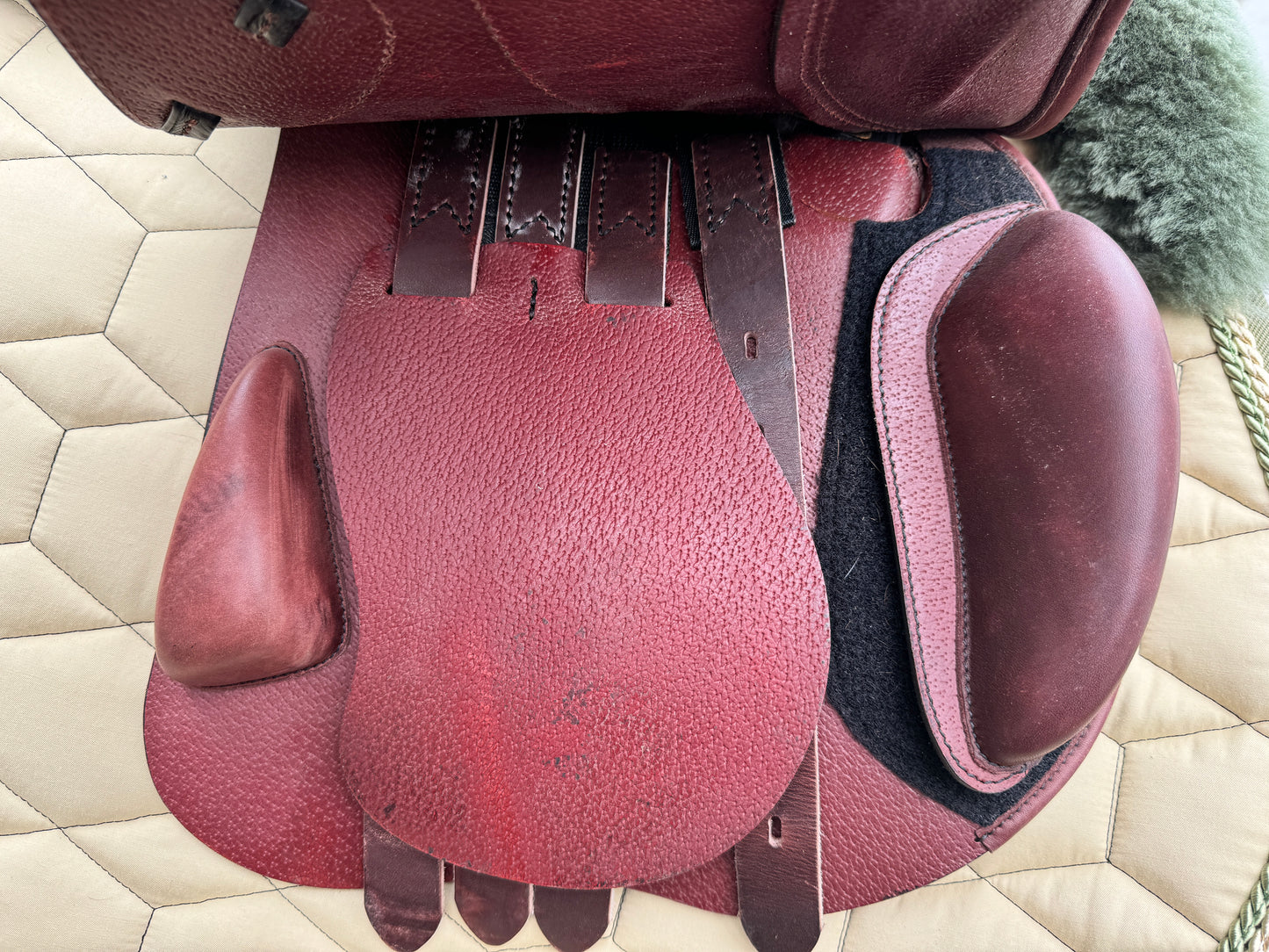 Silla de salto Amerigo Jump Basso Pinerolo de 17,5 pulgadas LHI para demostración