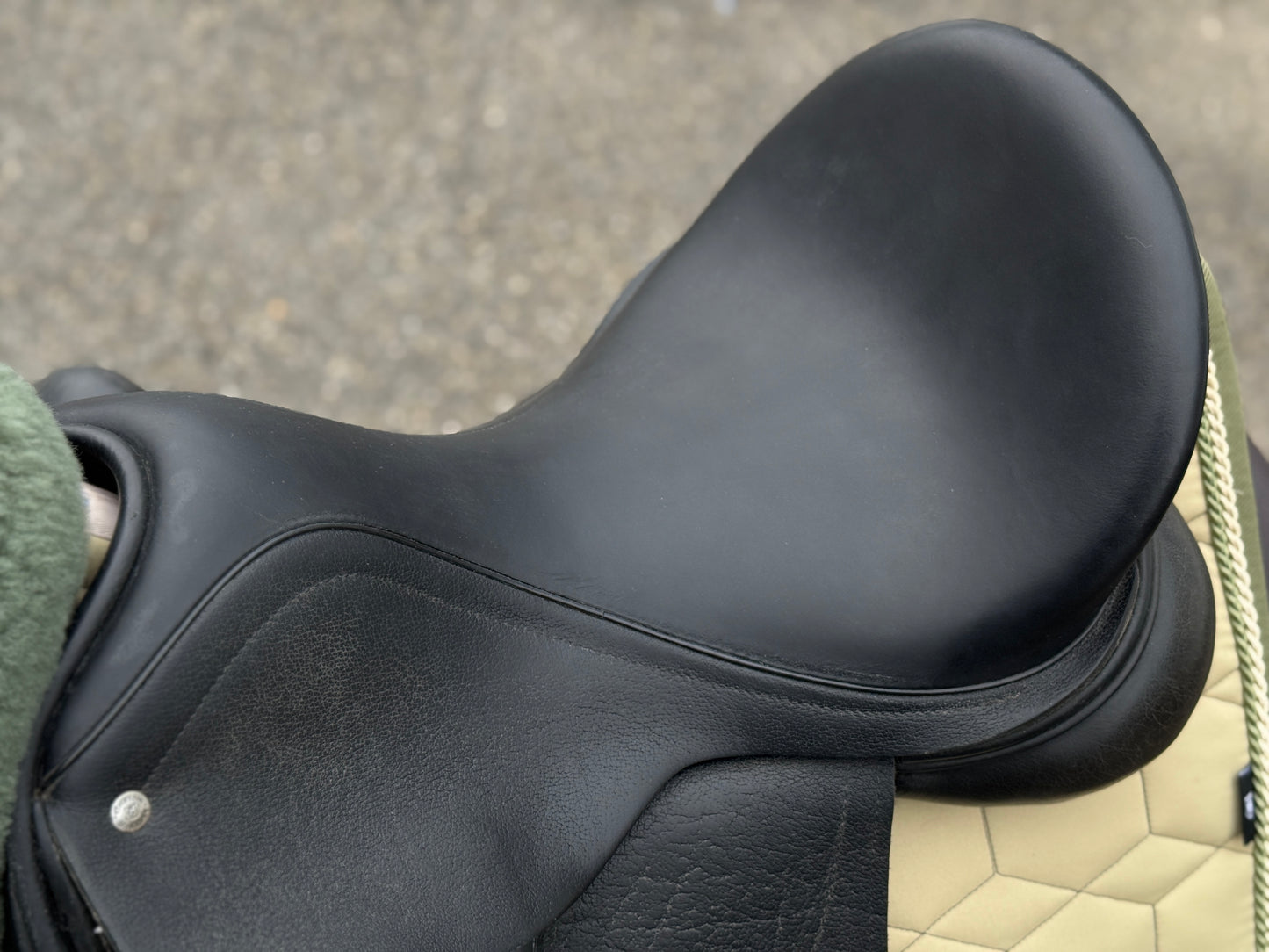 #K167 Custom Dressursattel Everest R 17,5 Zoll