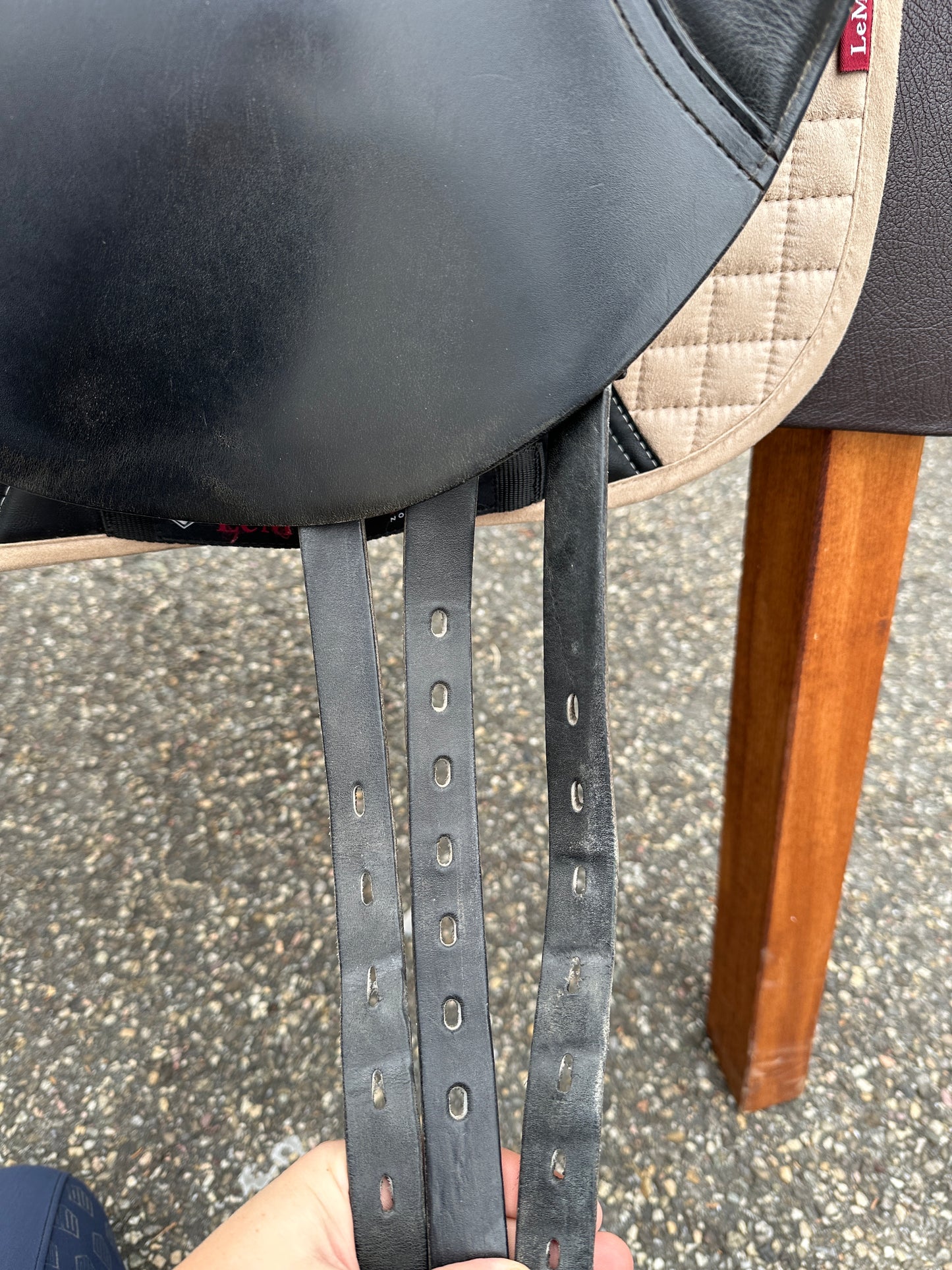 Passier Horst Becker Classic Dressage Saddle 17.5 inches