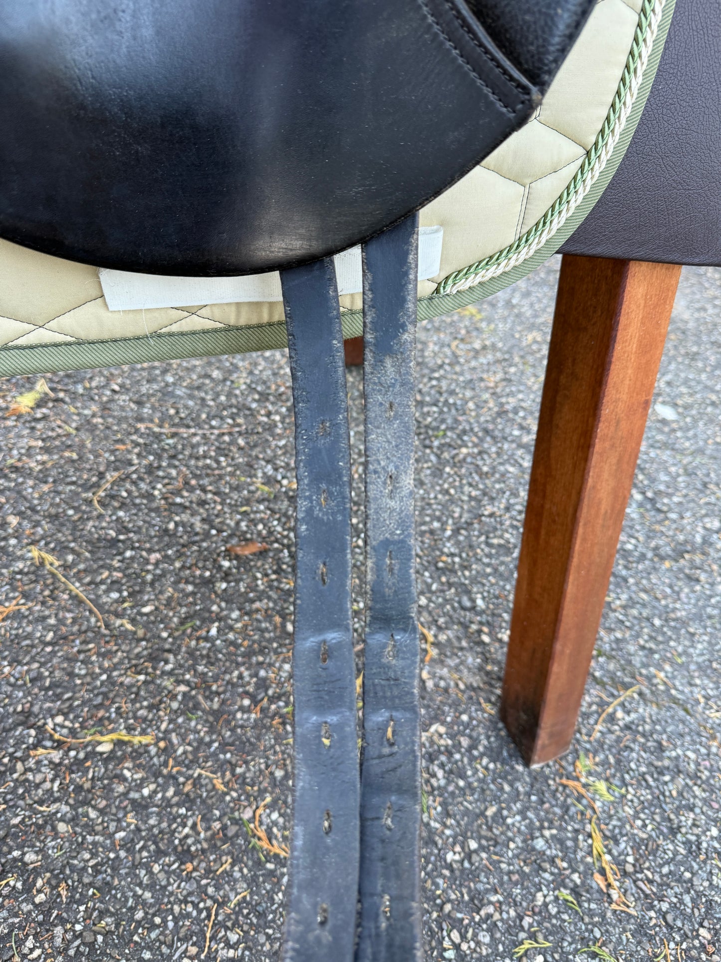#115 Passier Lenox Dressursattel 16,5 Zoll