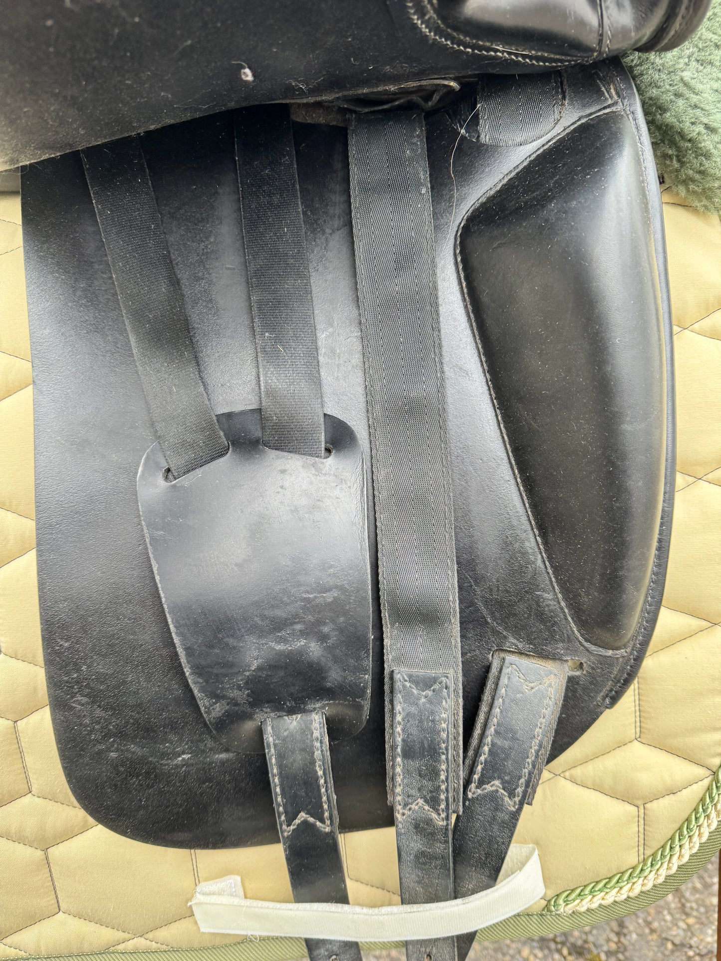 Silla de doma clásica Amerigo Basso #K89, asiento semiprofundo de 17 pulgadas
