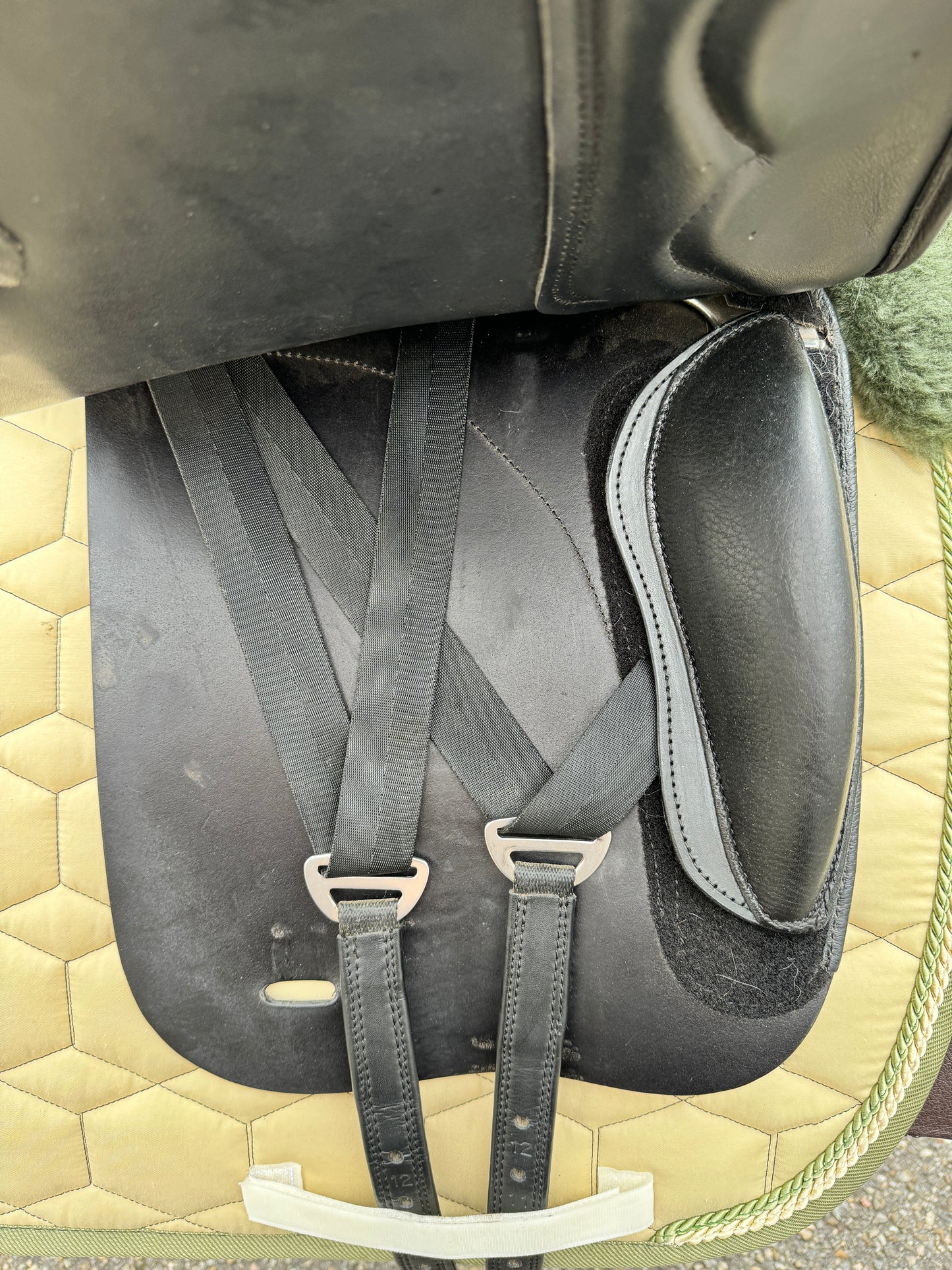 #5 Butterfly Claudia Dressursattel 17 Zoll HTF neuwertig
