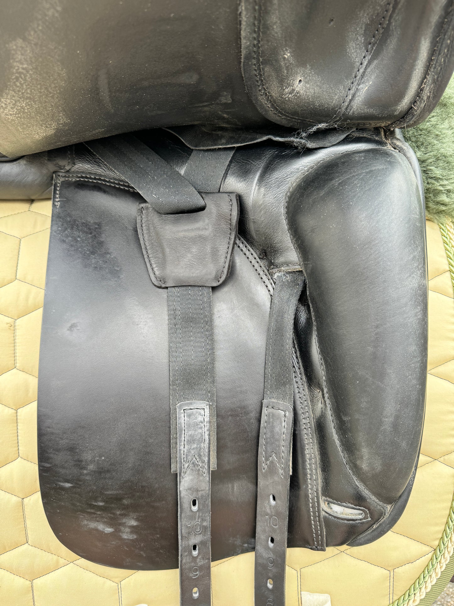 #13 Prestige Top Dressage SP 17 pulgadas 34 de 2022