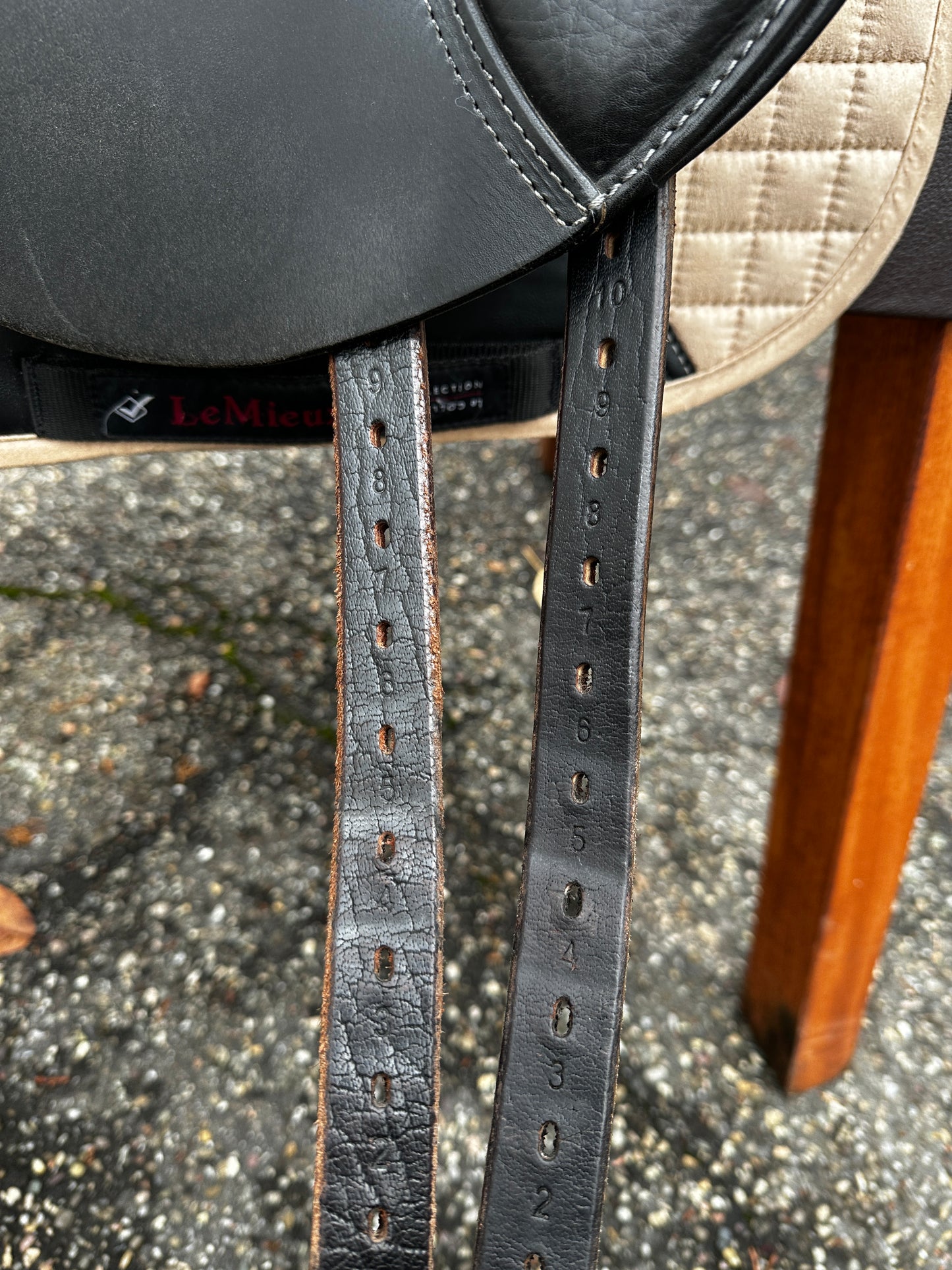 Seabis Carina PRO Dressursattel 17 Zoll