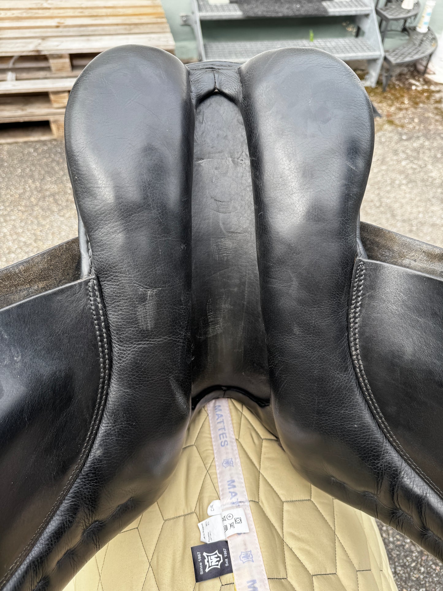 #K143 Stübben Laurus Dressursattel 15,5 Zoll Ponysattel