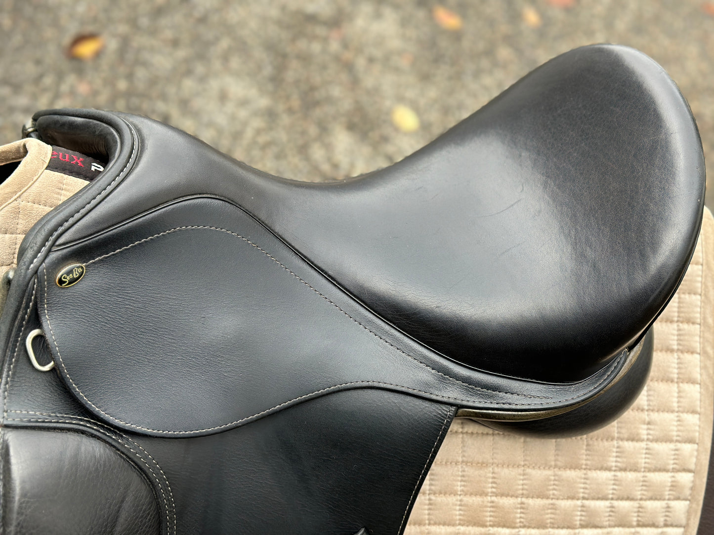 Seabis Carina PRO Dressursattel 17 Zoll