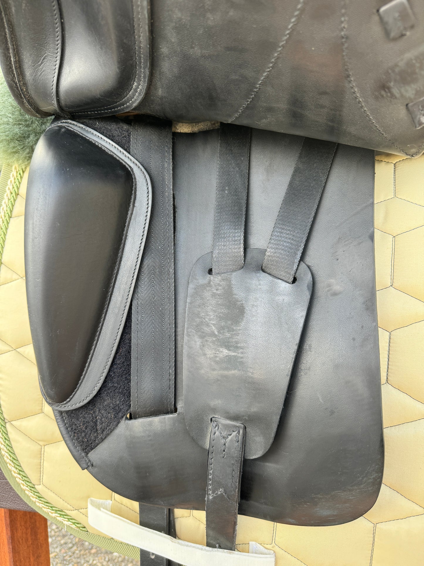 Amerigo Cortina Pinerolo dressage saddle 17.5 inches from 2022