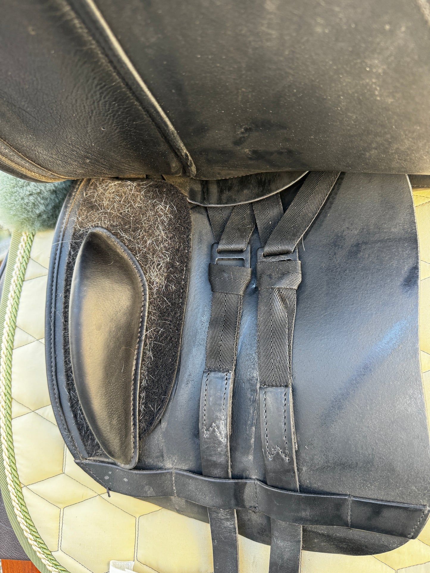 #144 Equiveron Dressursattel InFerno PP 17,5 Zoll aus 2023