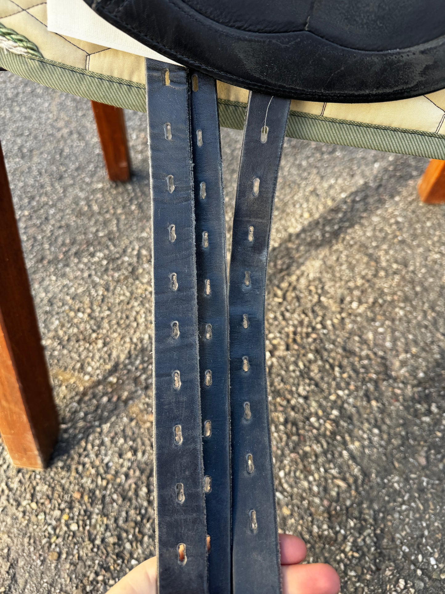 #101 Amerigo Pasubio Dressursattel 17,5 Zoll aus 2020