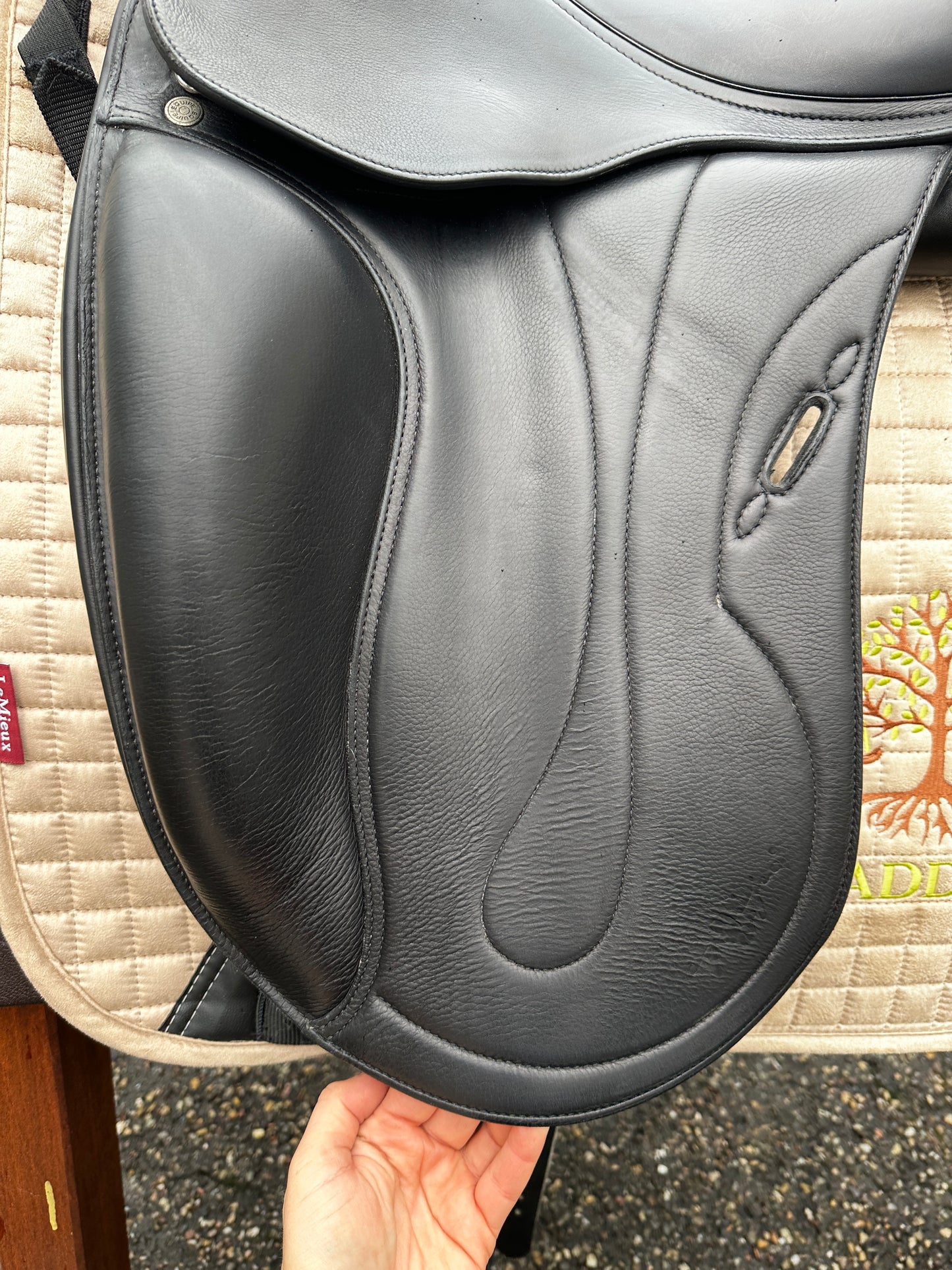 Selleria Equipe Oracle Special Dressursattel 17,5 Zoll aus 2021