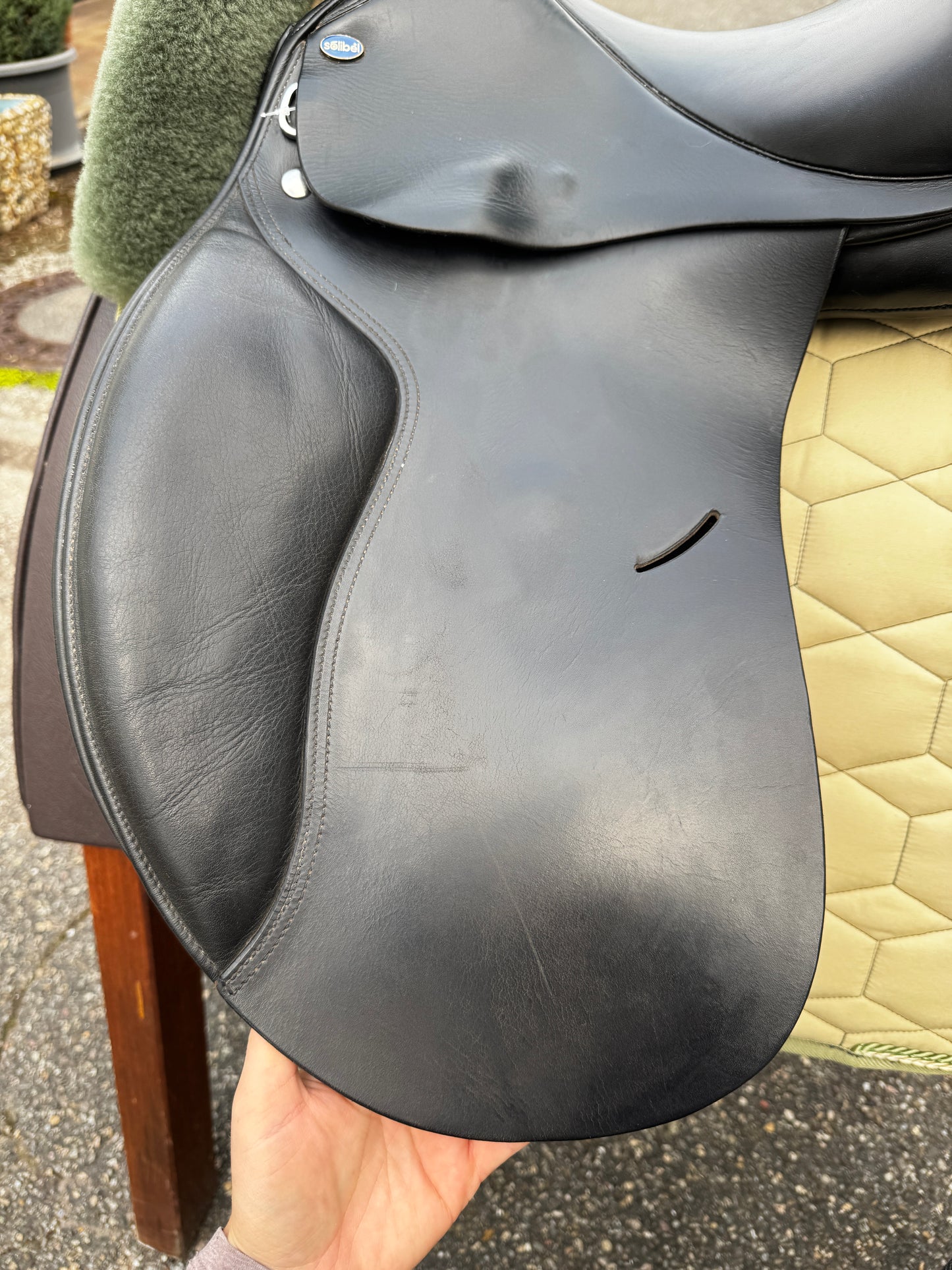 #123 Busse Basel Dressursattel 16,5 Zoll MW Ponysattel
