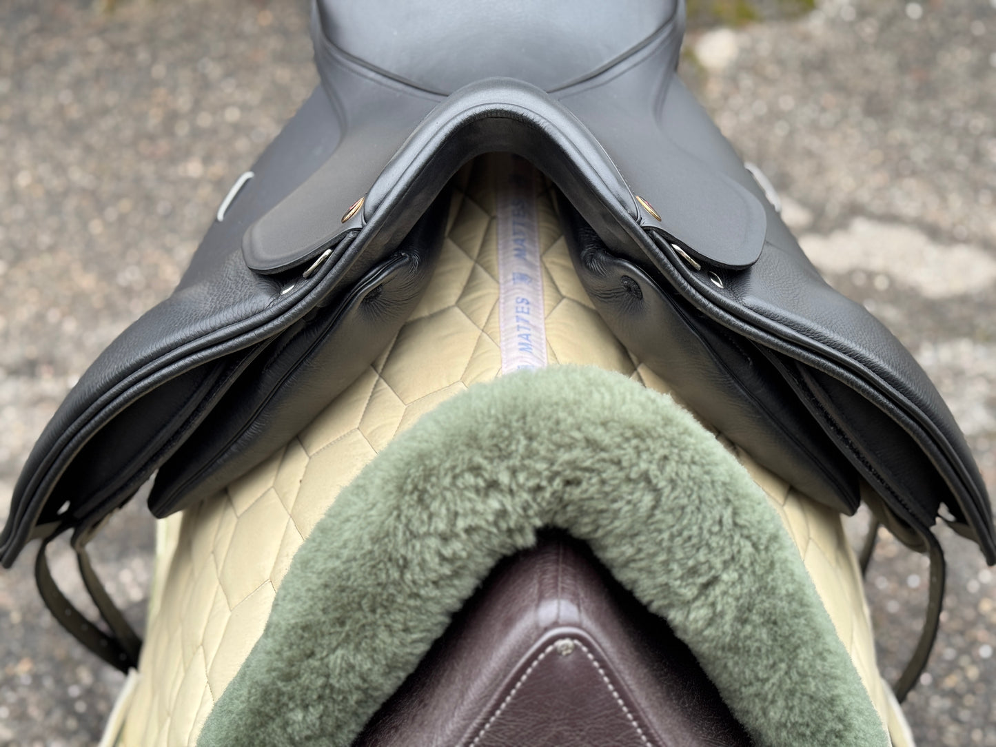 NEW Summer Remos Future dressage saddle pony saddle 16 & 16.5