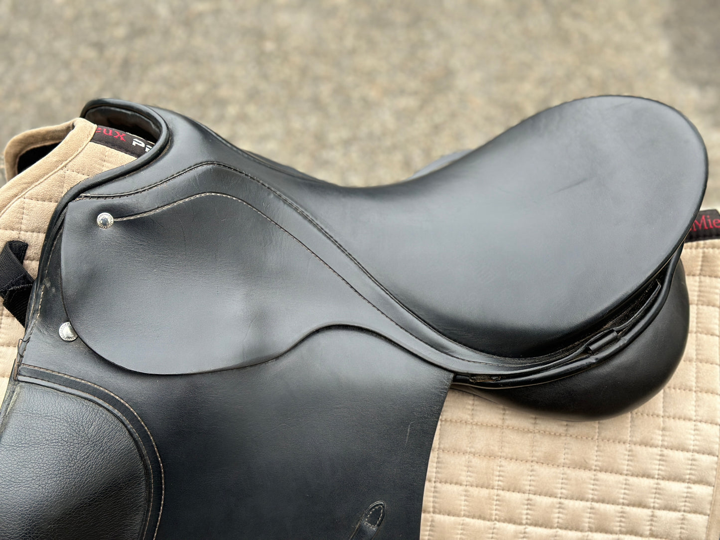 Passier Horst Becker Classic Dressage Saddle 17.5 inches