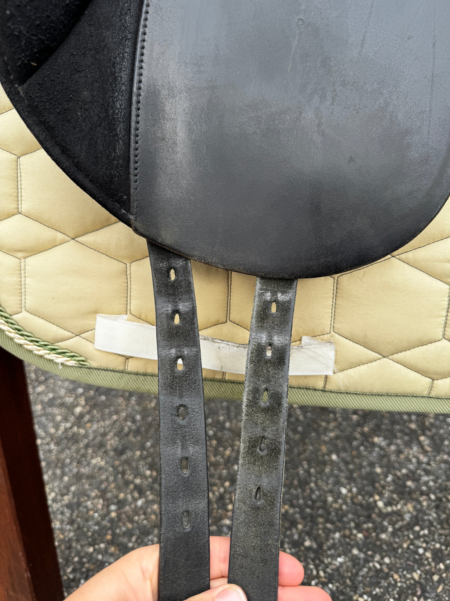 #K143 Stübben Laurus Dressursattel 15,5 Zoll Ponysattel