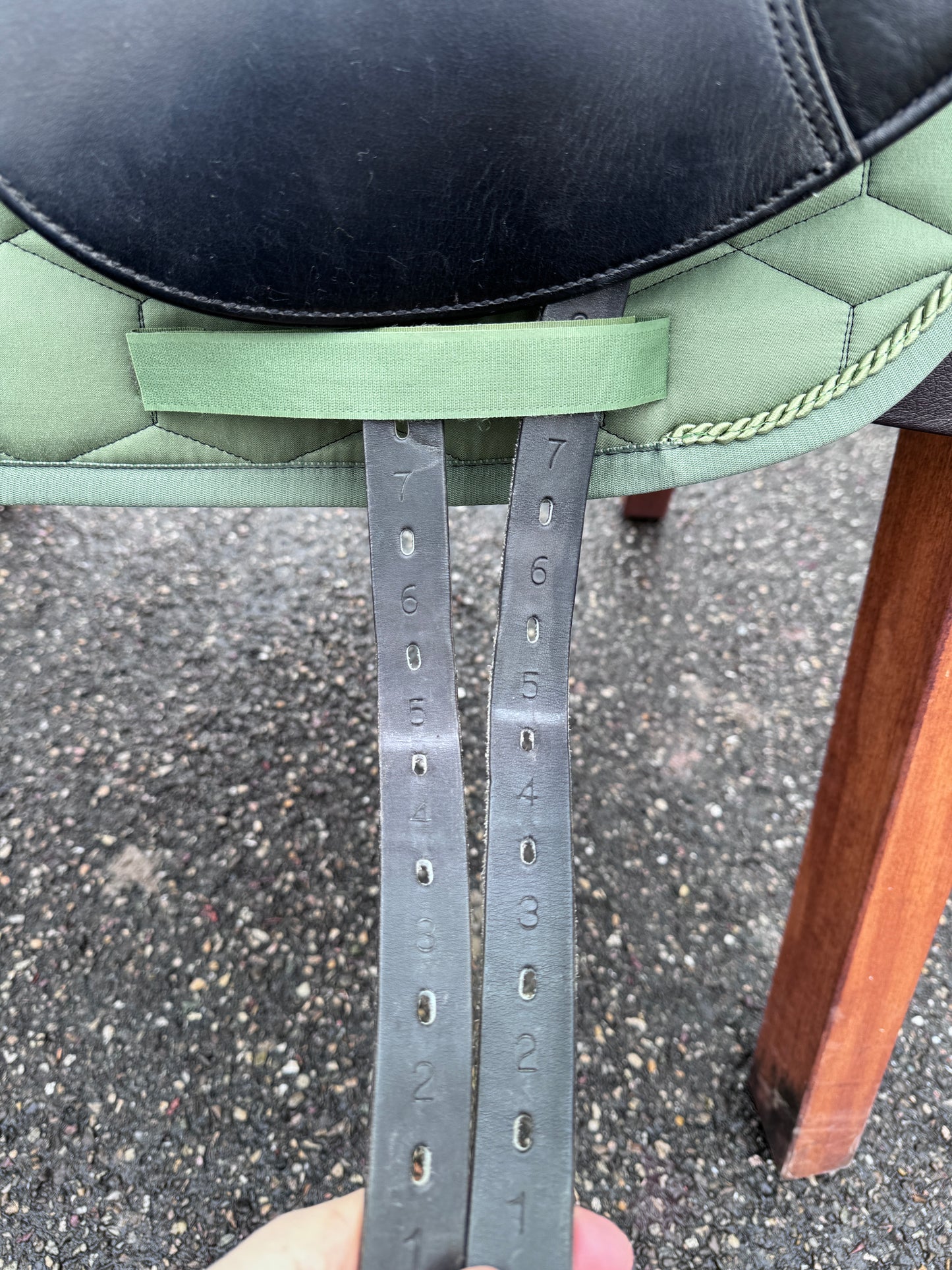 Silla de doma Prestige Venus New de 17 pulgadas (2021)