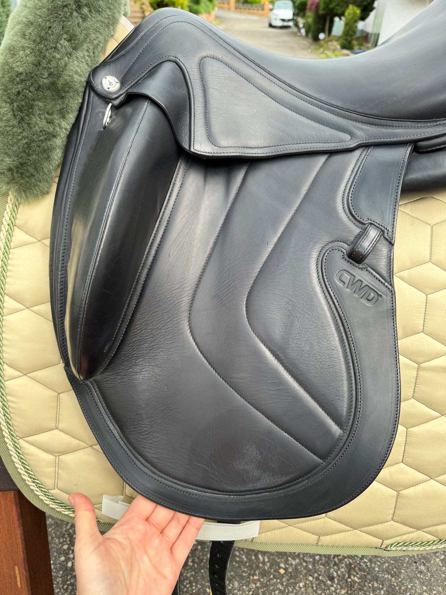 Silla de doma CWD SE37 18 pulgadas