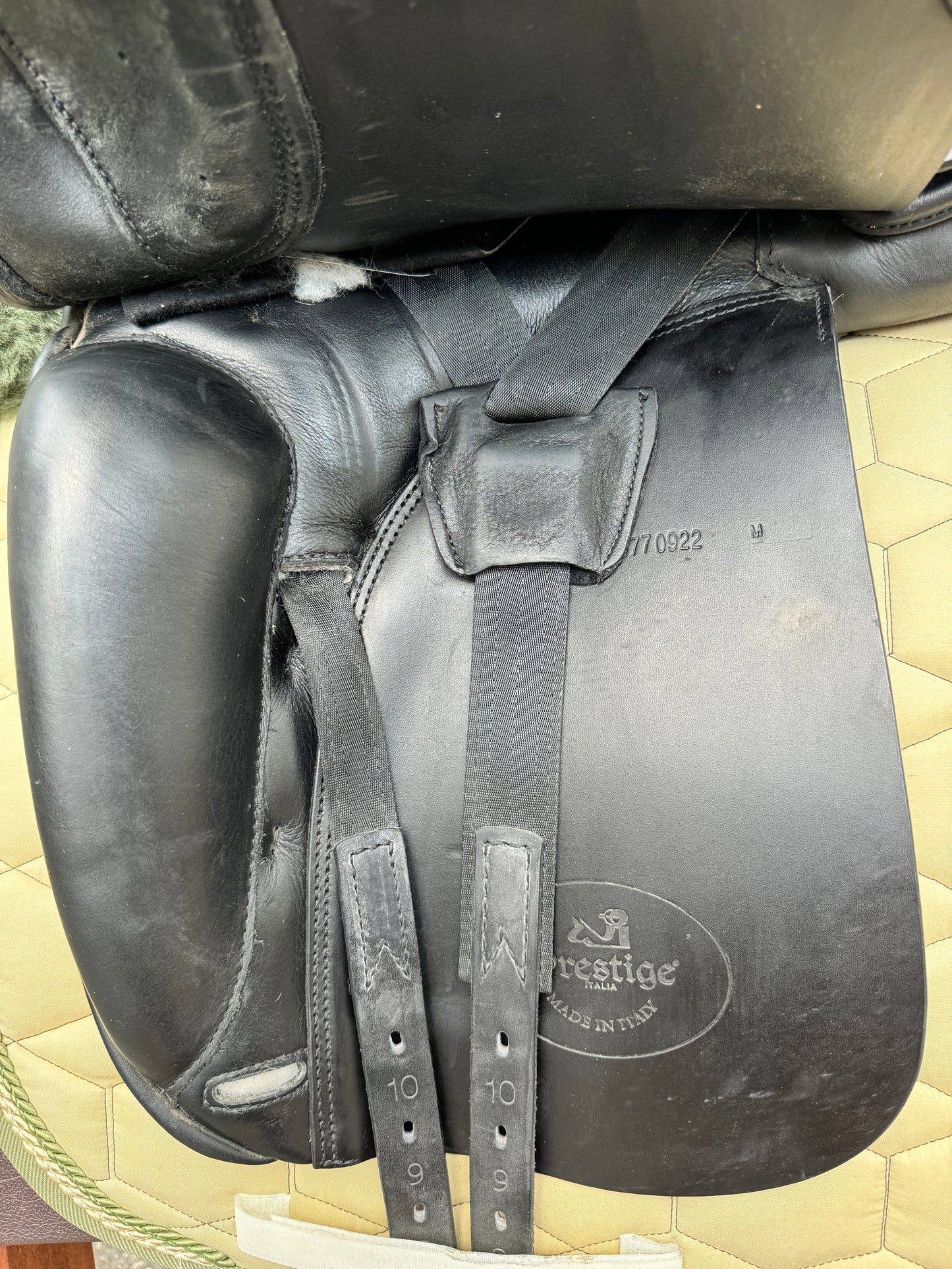 #13 Prestige Top Dressage SP 17 pulgadas 34 de 2022