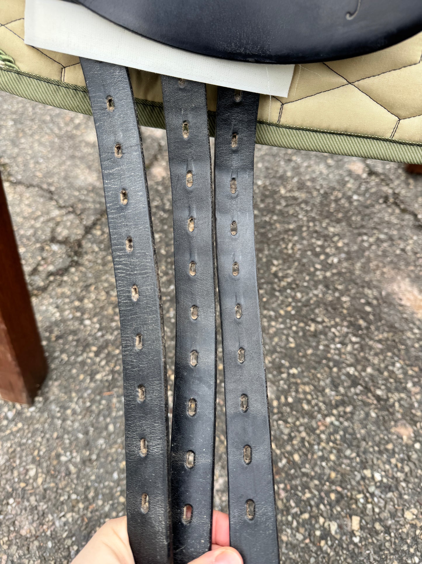 Silla de doma clásica Amerigo Basso #K89, asiento semiprofundo de 17 pulgadas