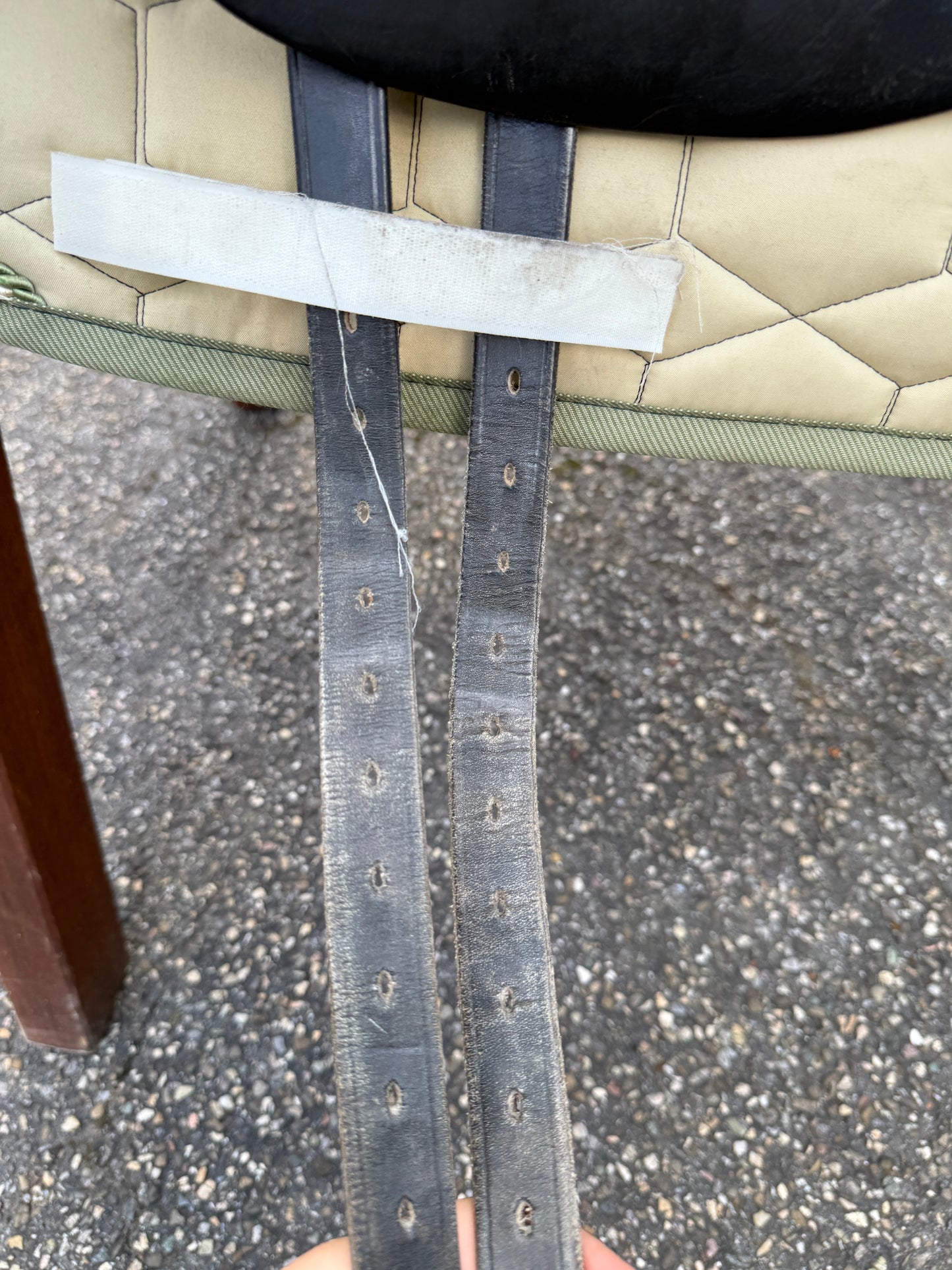 #180 Sommer Esprit Performance Dressursattel 17,5 Zoll WKE