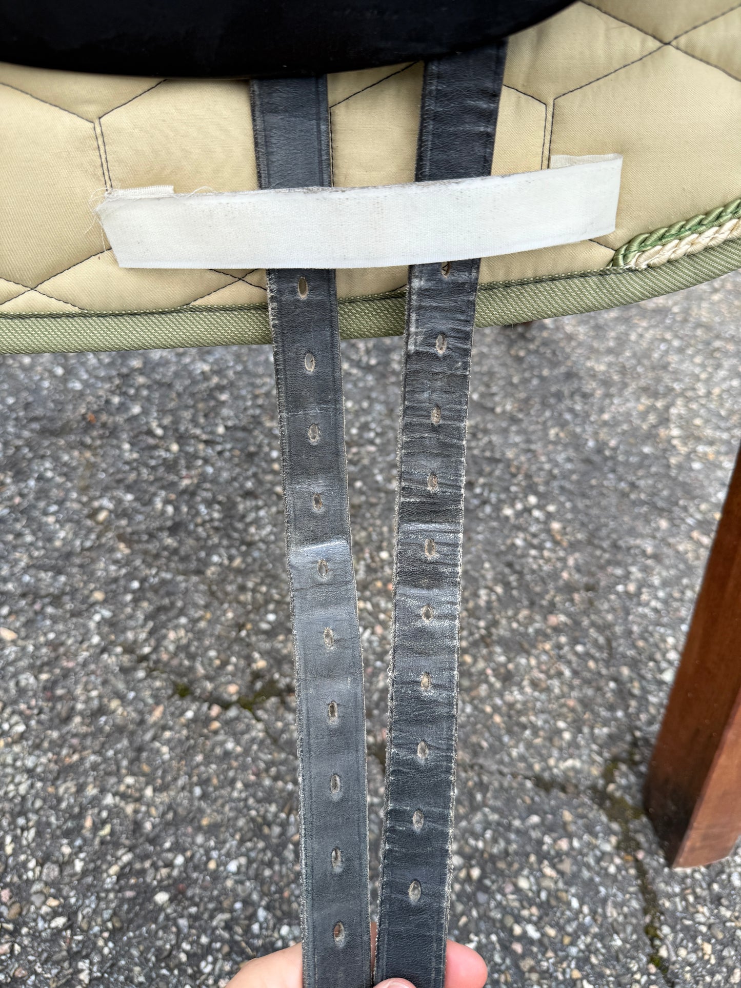 #180 Sommer Esprit Performance Dressursattel 17,5 Zoll WKE