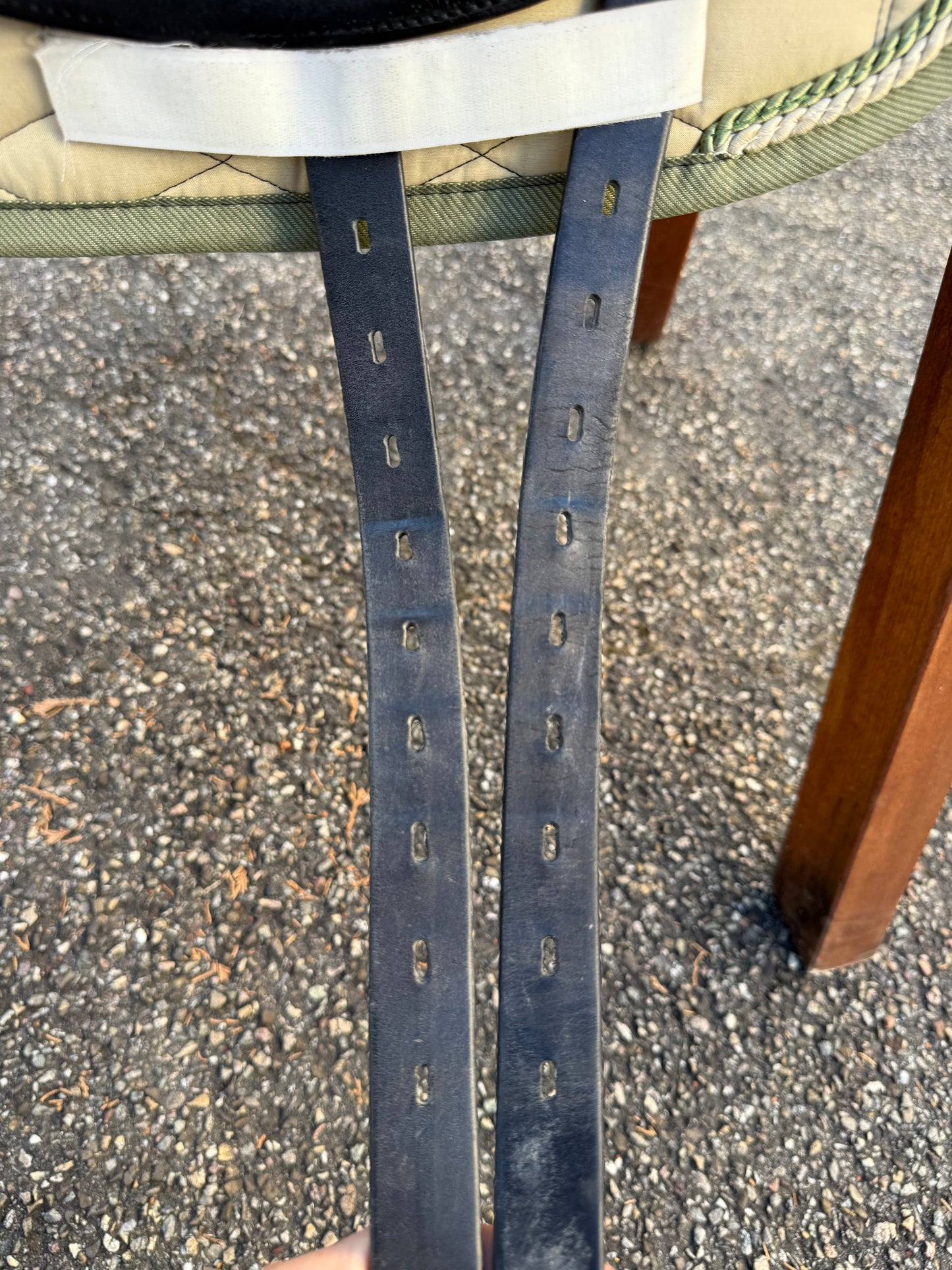 #K170 Selleria Equipe Viktoria Carbon Dressursattel 17 Zoll +2 +2 aus 2023