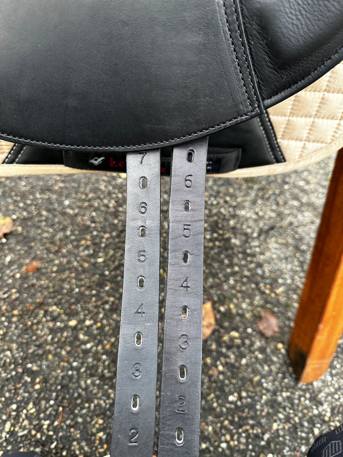 Prestige Philosophy Dressursattel 17 Zoll 34 Lux aus 2022