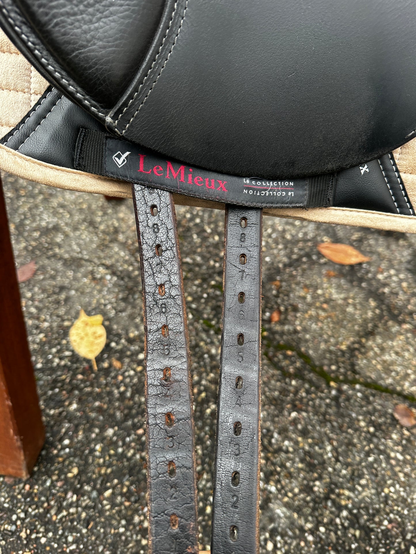 Seabis Carina PRO Dressursattel 17 Zoll