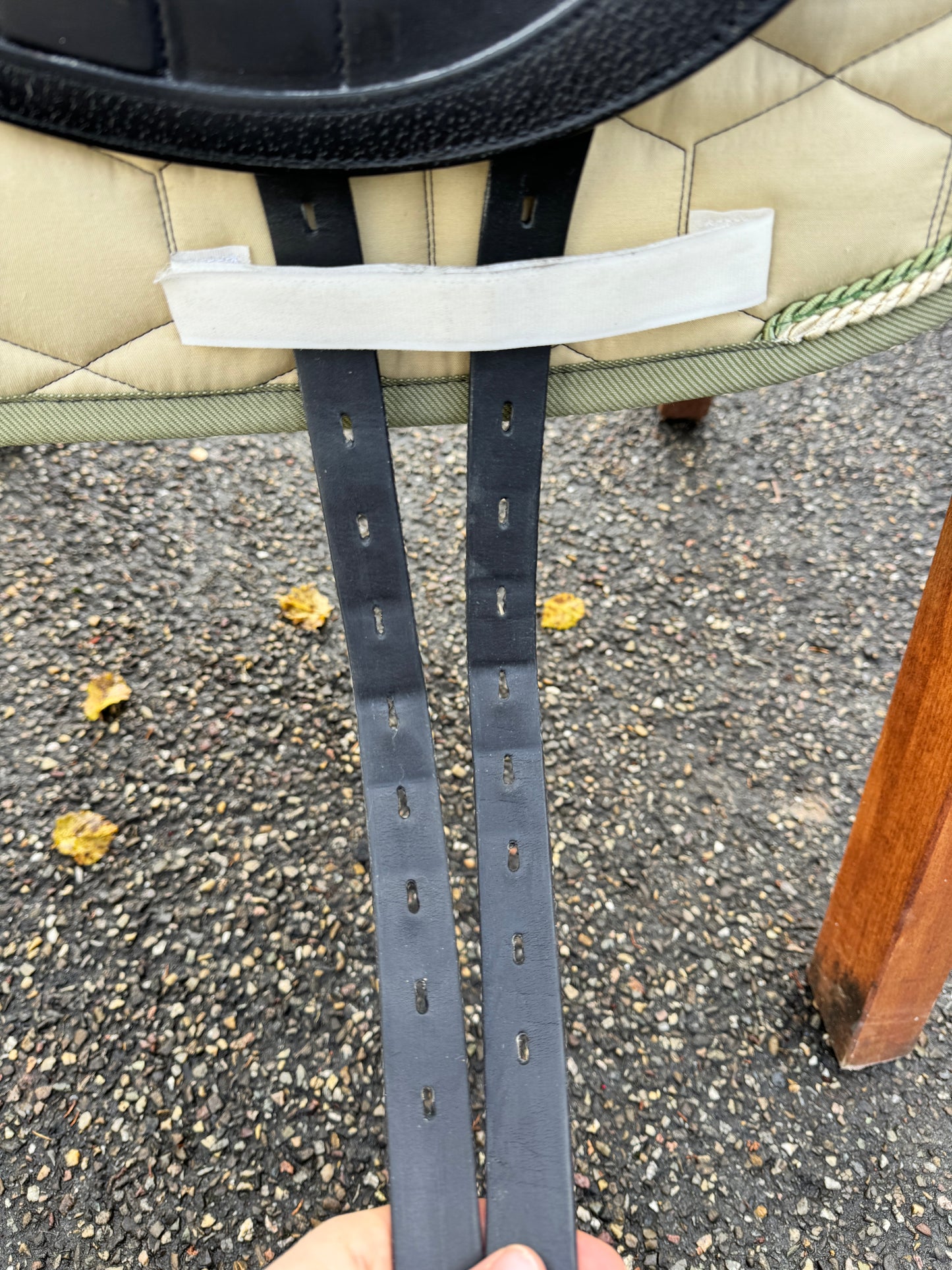 #K73 Selleria Equipe Viktoria Carbon Dressursattel 17 Zoll