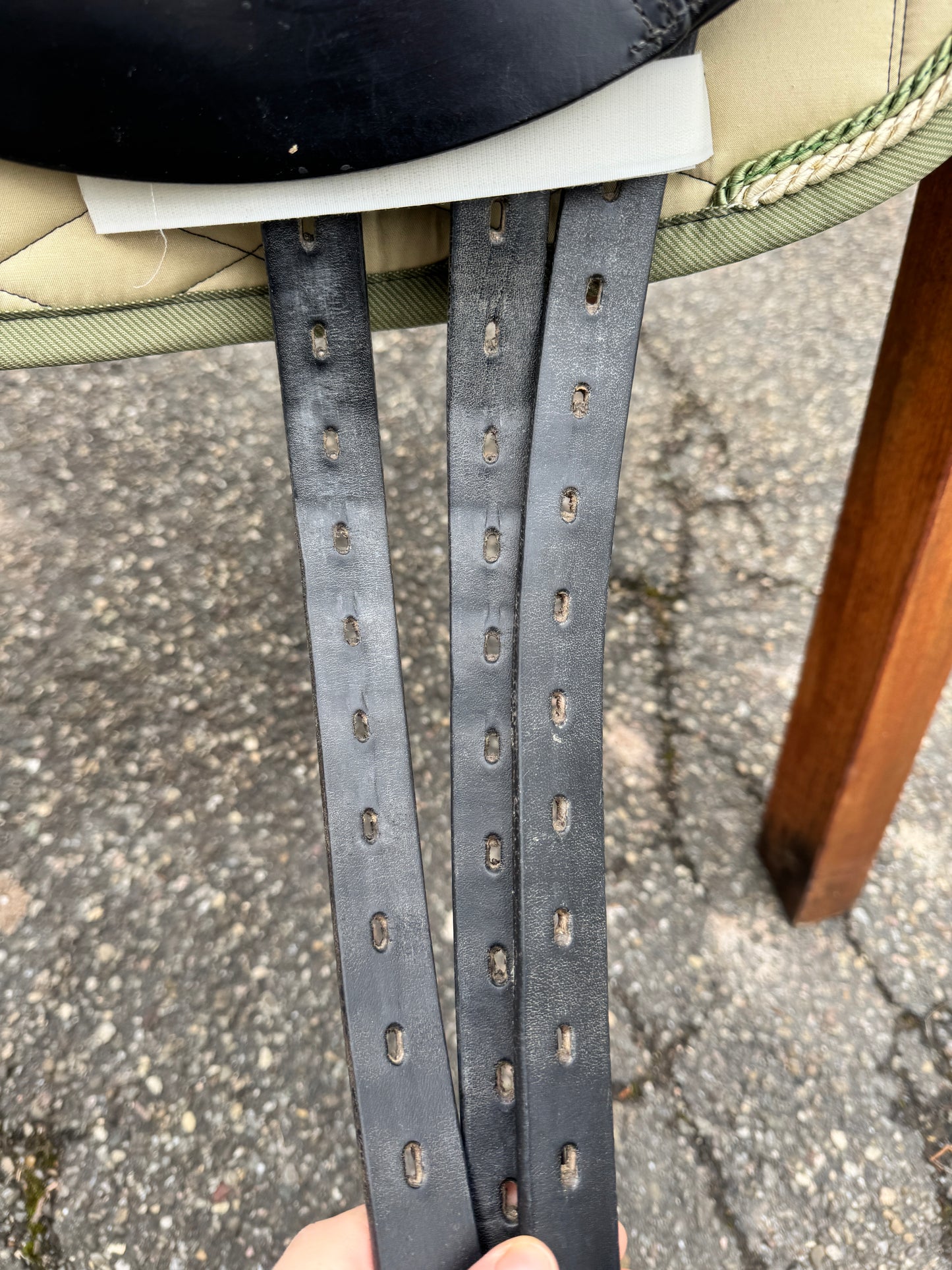 Silla de doma clásica Amerigo Basso #K89, asiento semiprofundo de 17 pulgadas